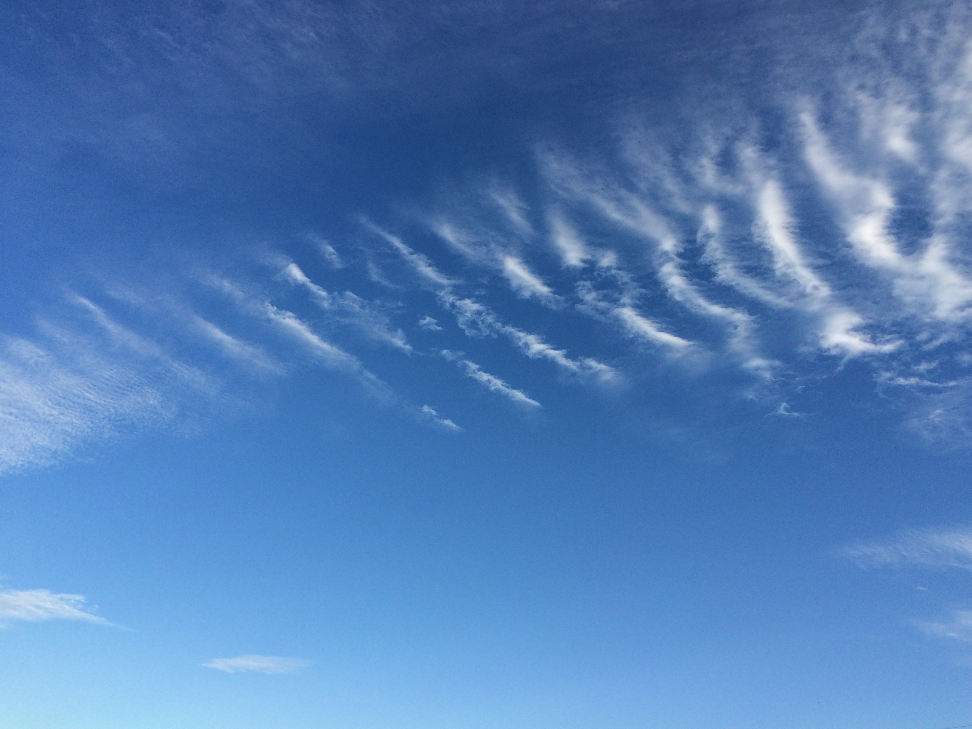 No.36734-1 地震雲