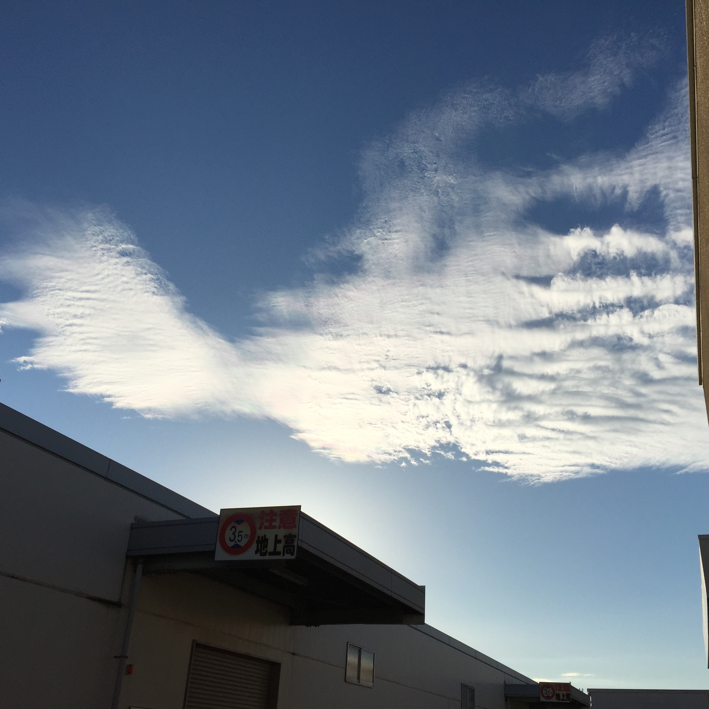 No.36736-1 地震雲