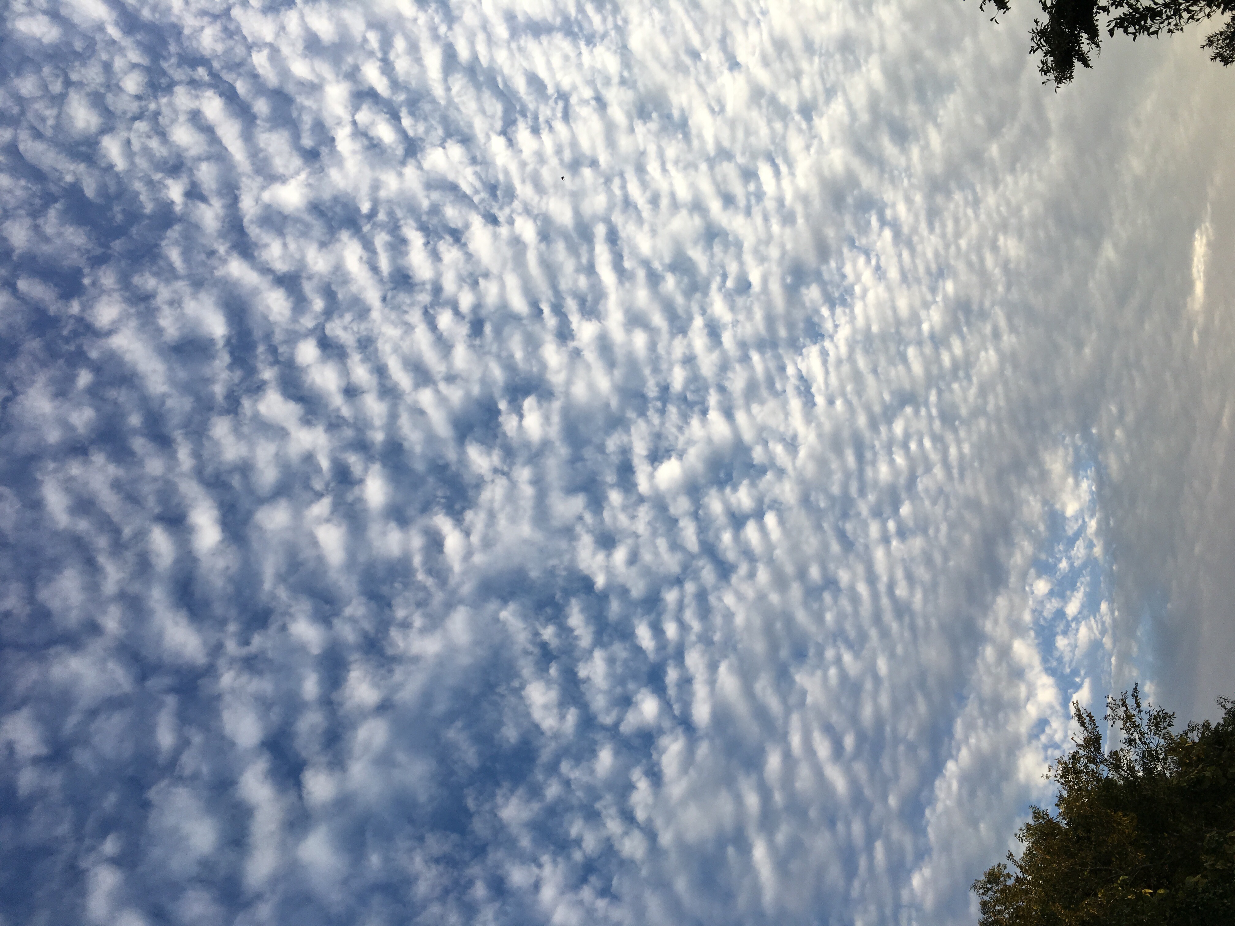 No.36940-1 地震雲