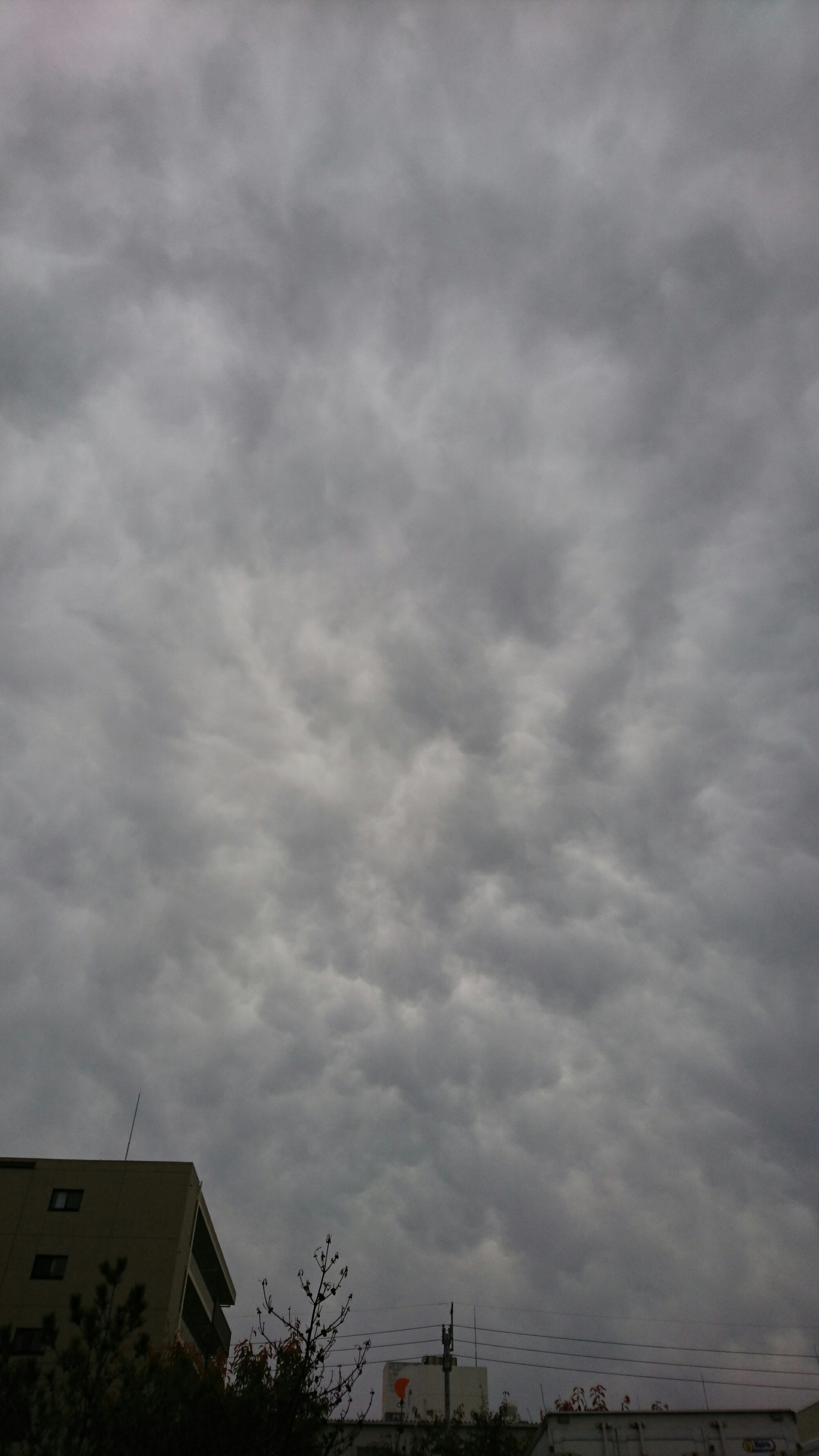 No.37311-1 地震雲