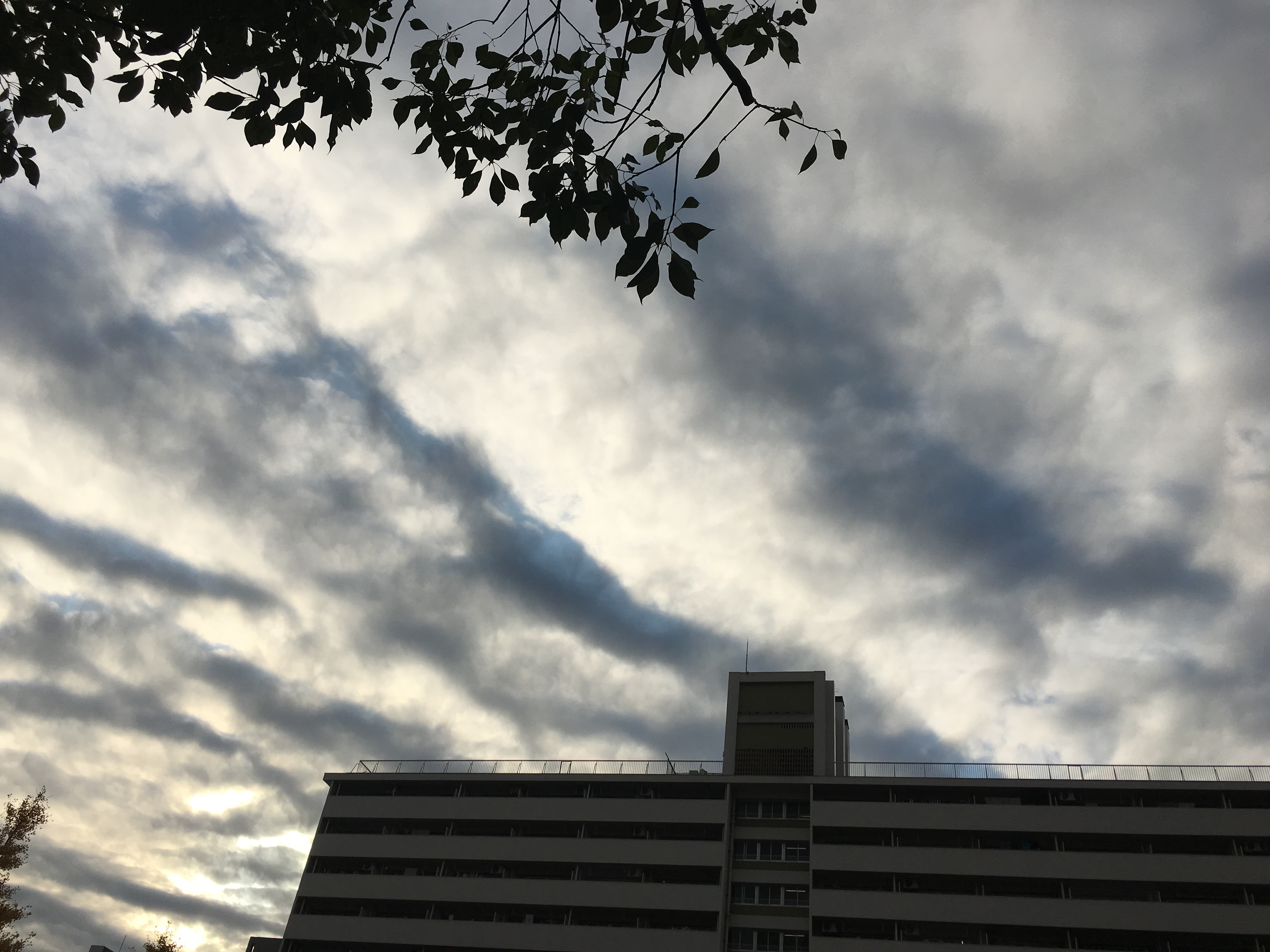 No.37366-1 地震雲