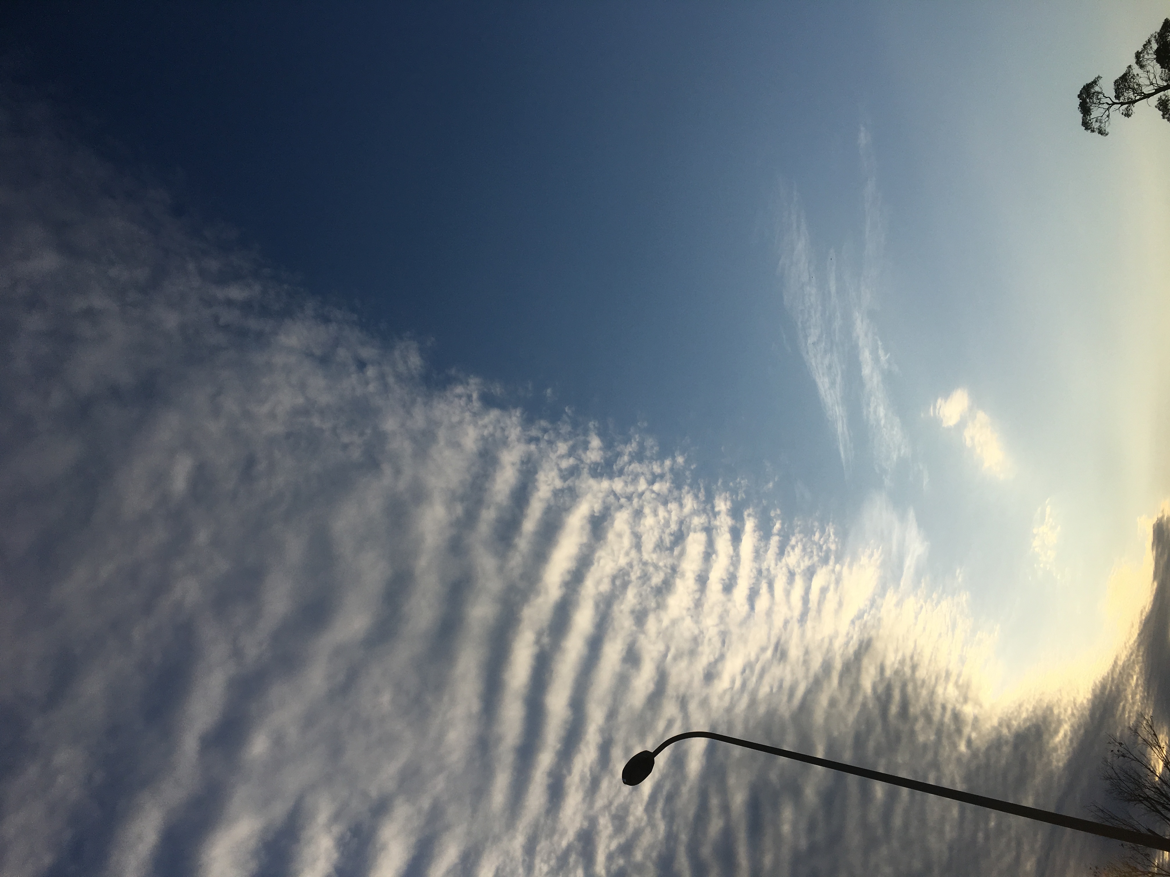 No.37724-1 地震雲