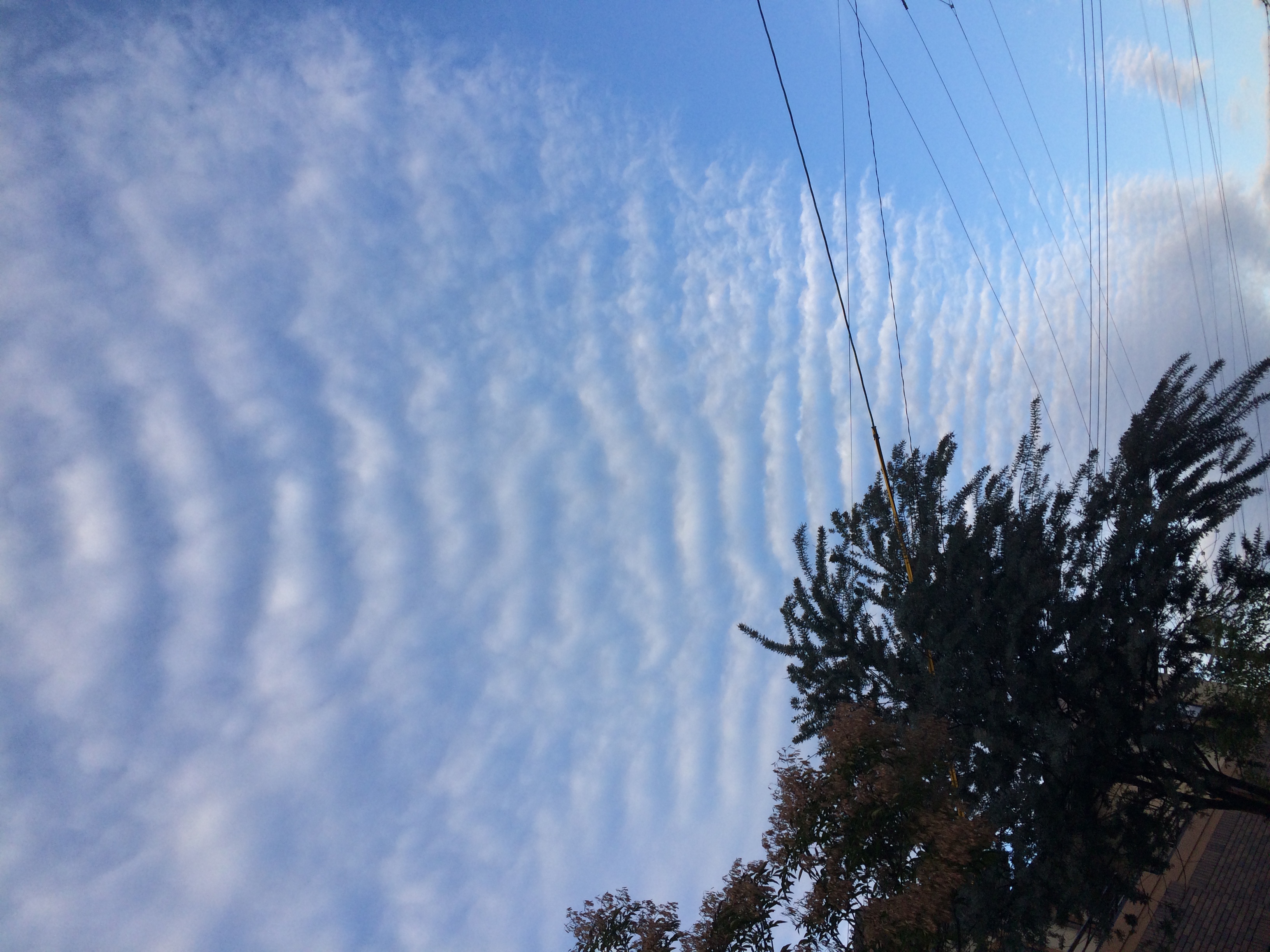 No.37742-1 地震雲