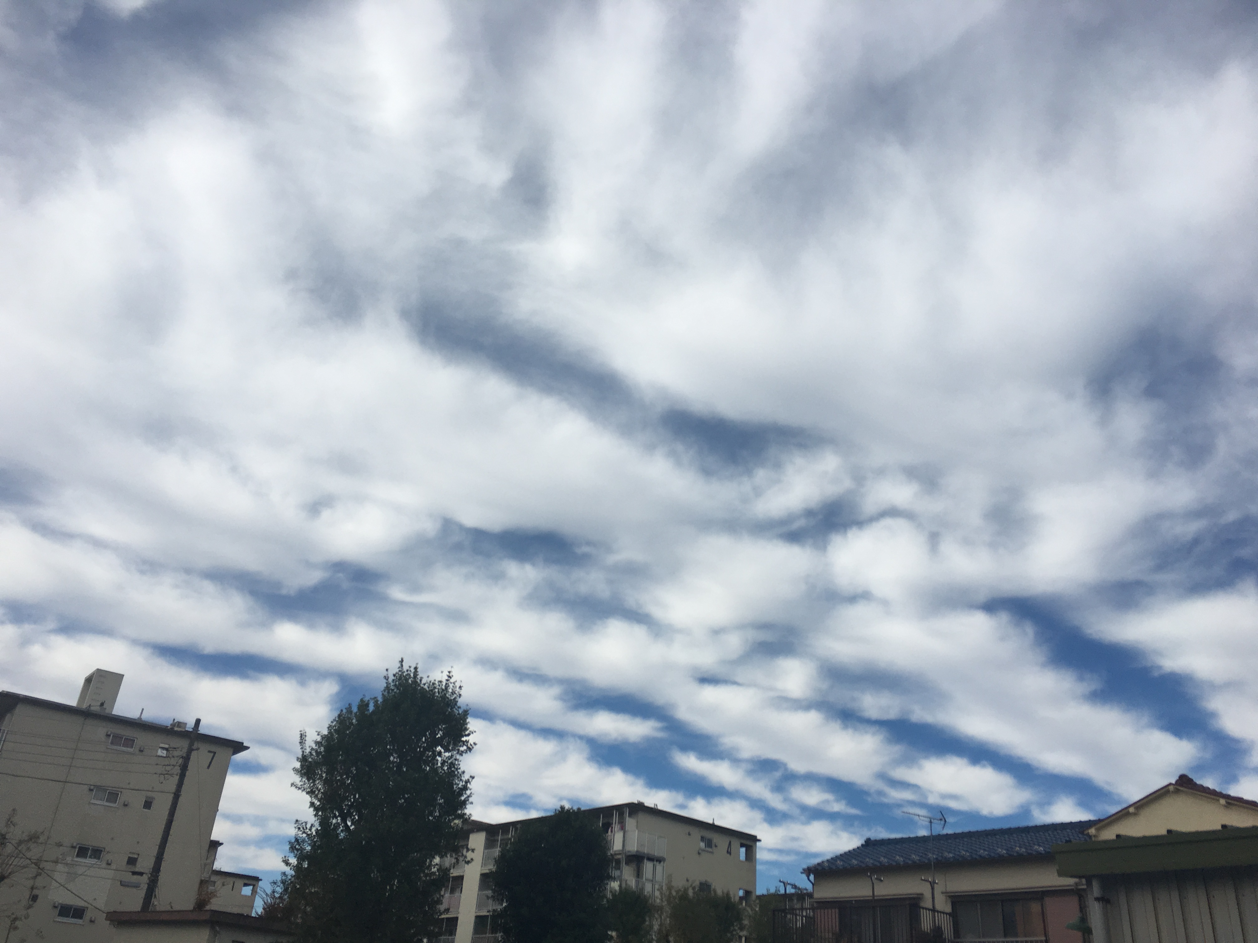 No.38101-1 地震雲