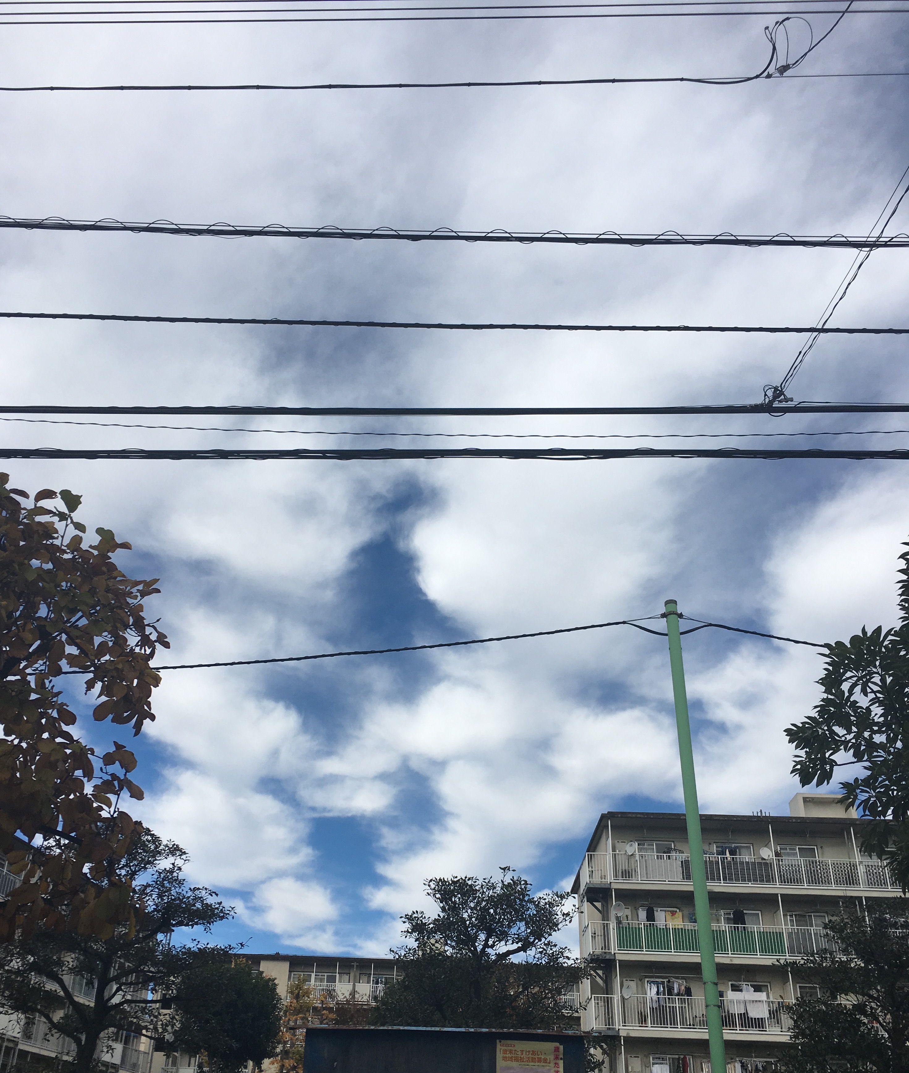 No.38102-1 地震雲