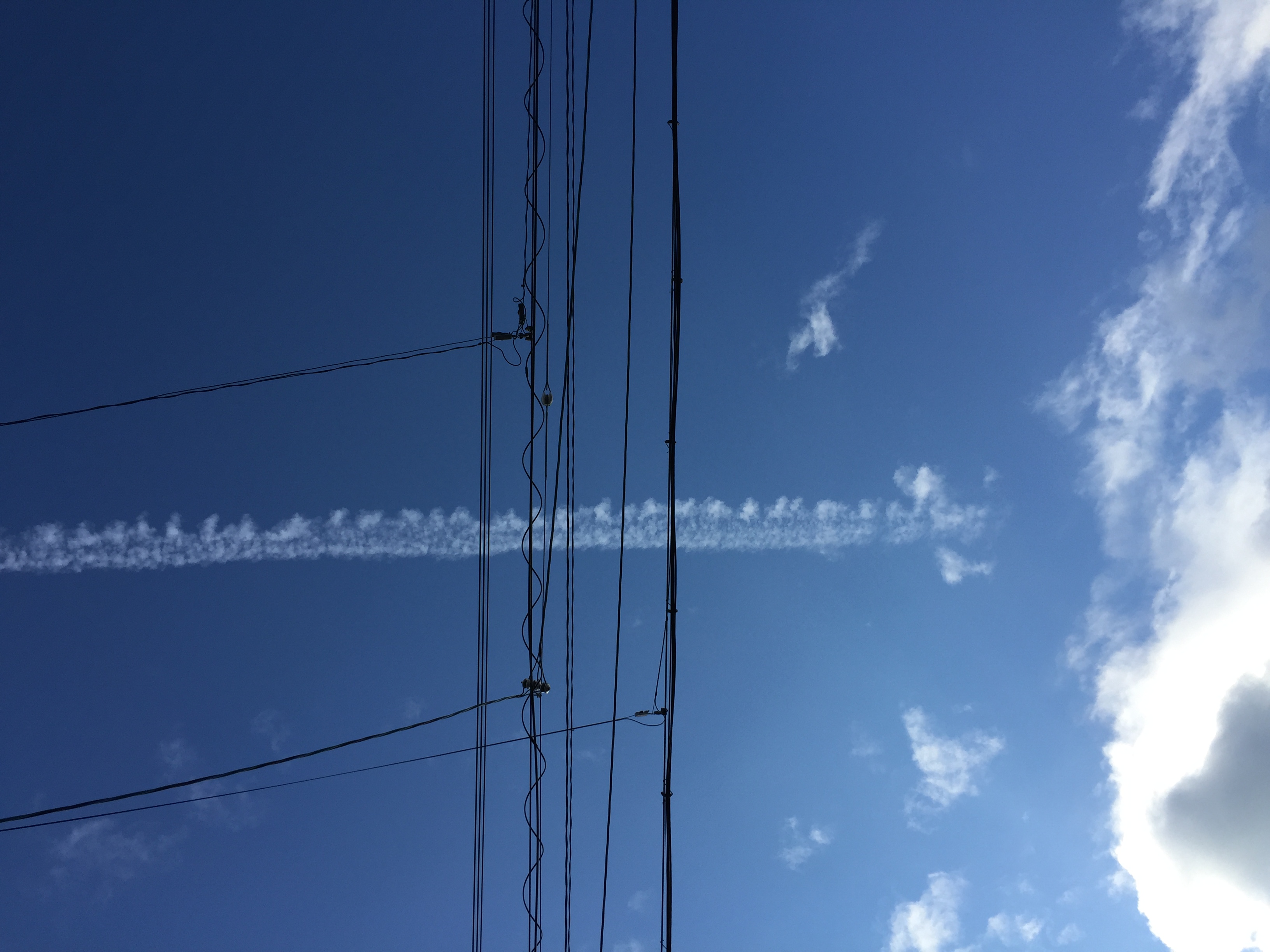 No.38118-1 地震雲