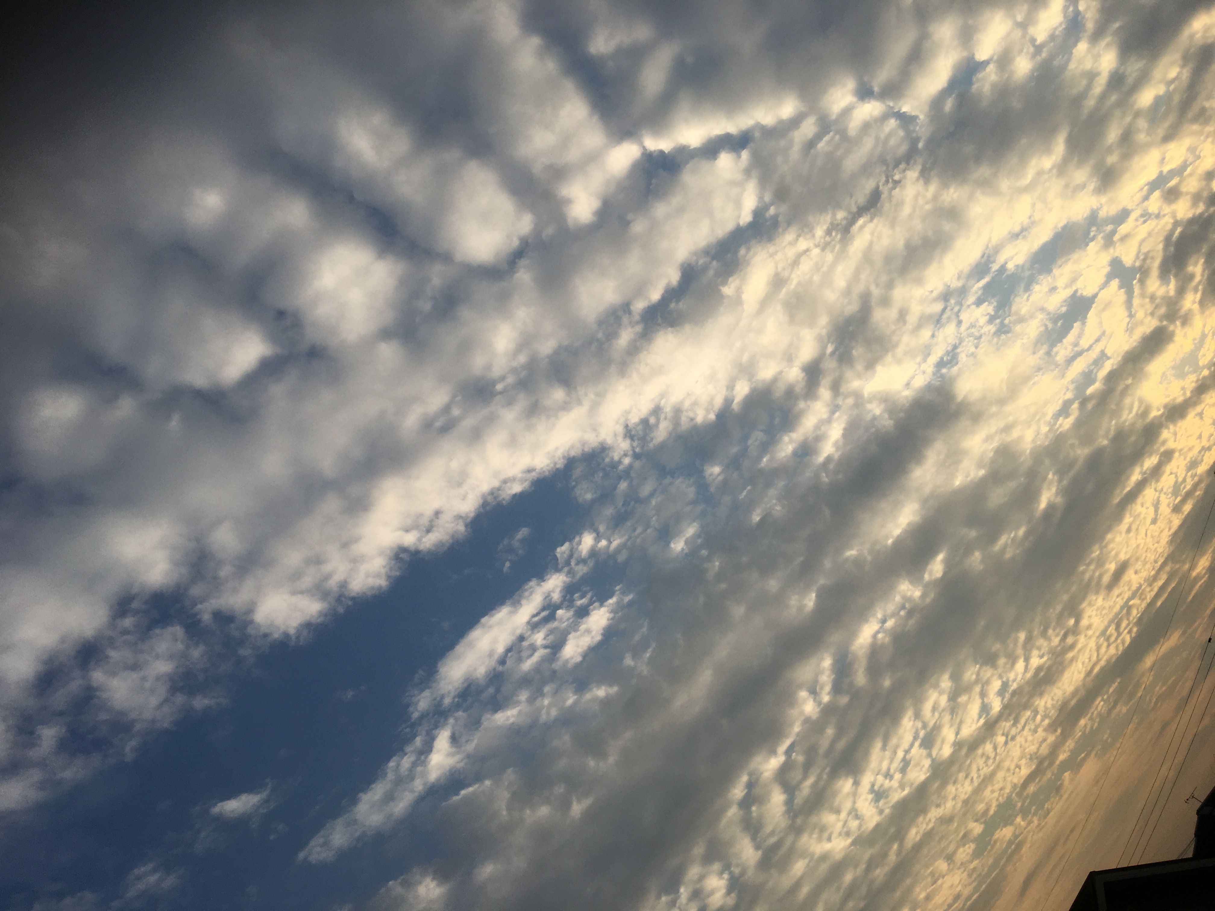 No.38190-1 地震雲