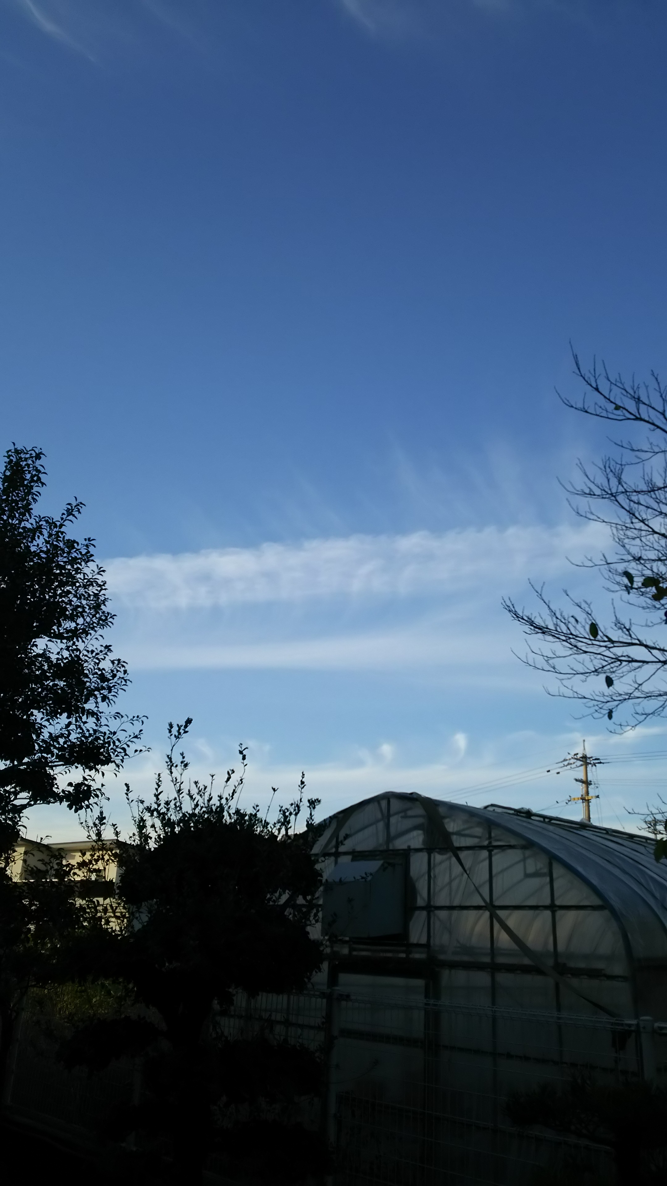 No.38308-1 地震雲