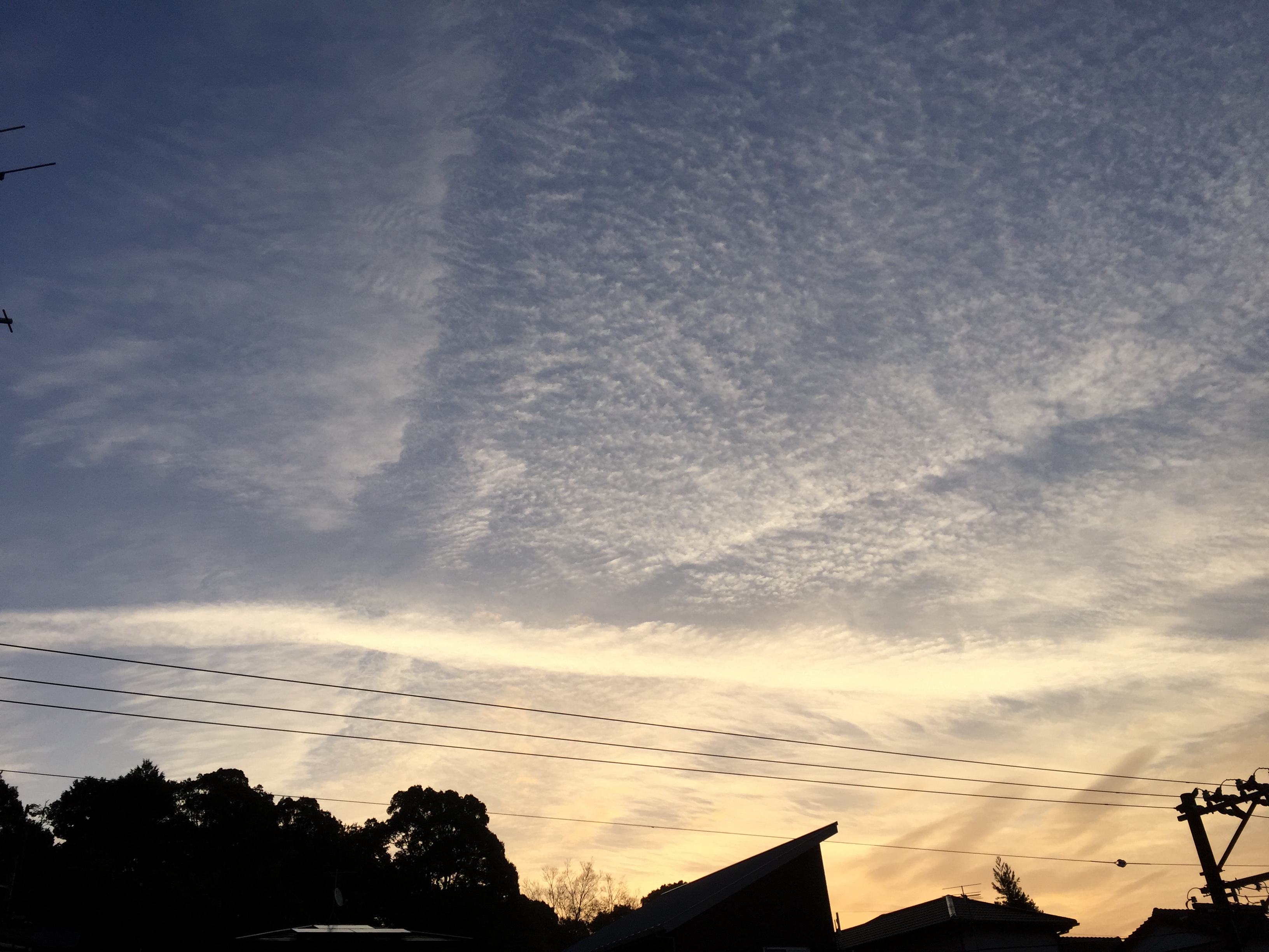 No.38376-1 地震雲