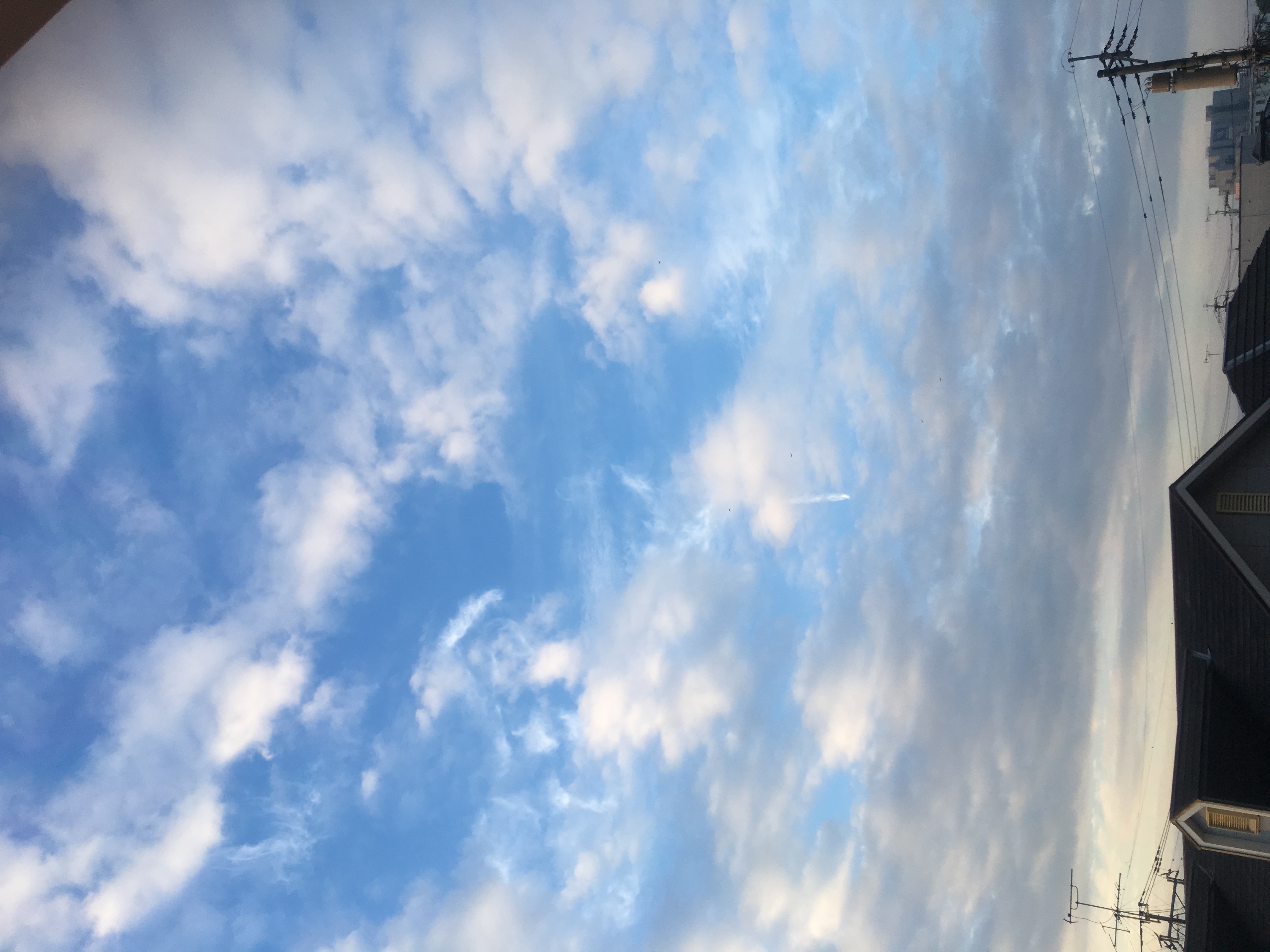 No.38411-1 地震雲