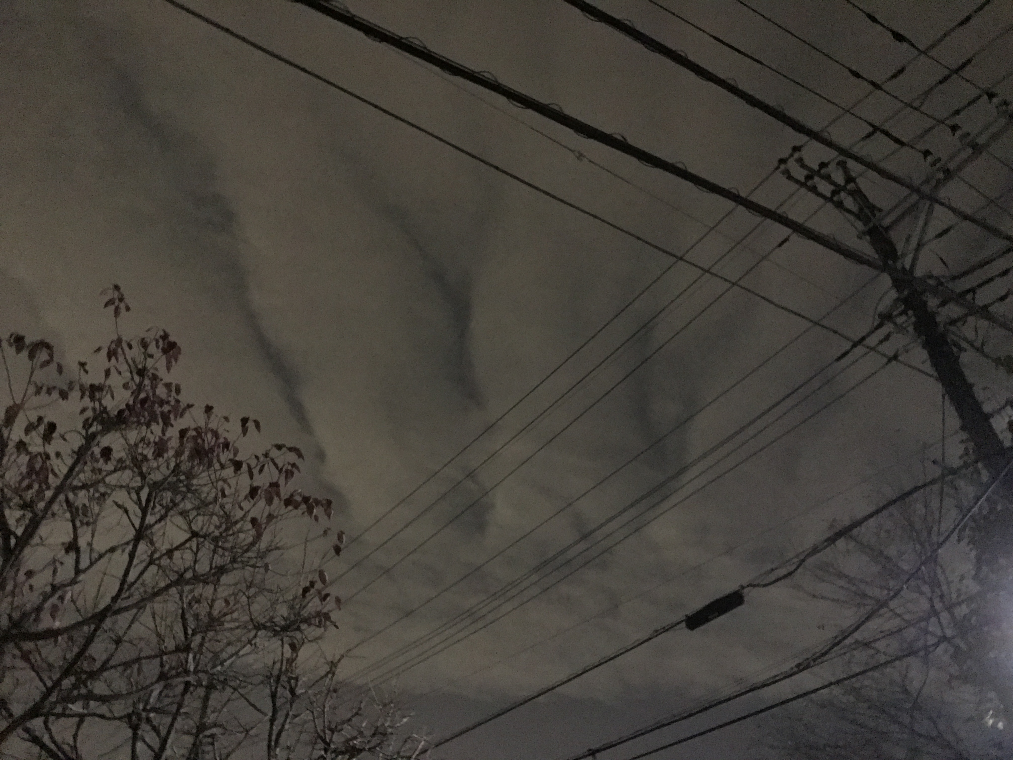 No.38590-1 地震雲