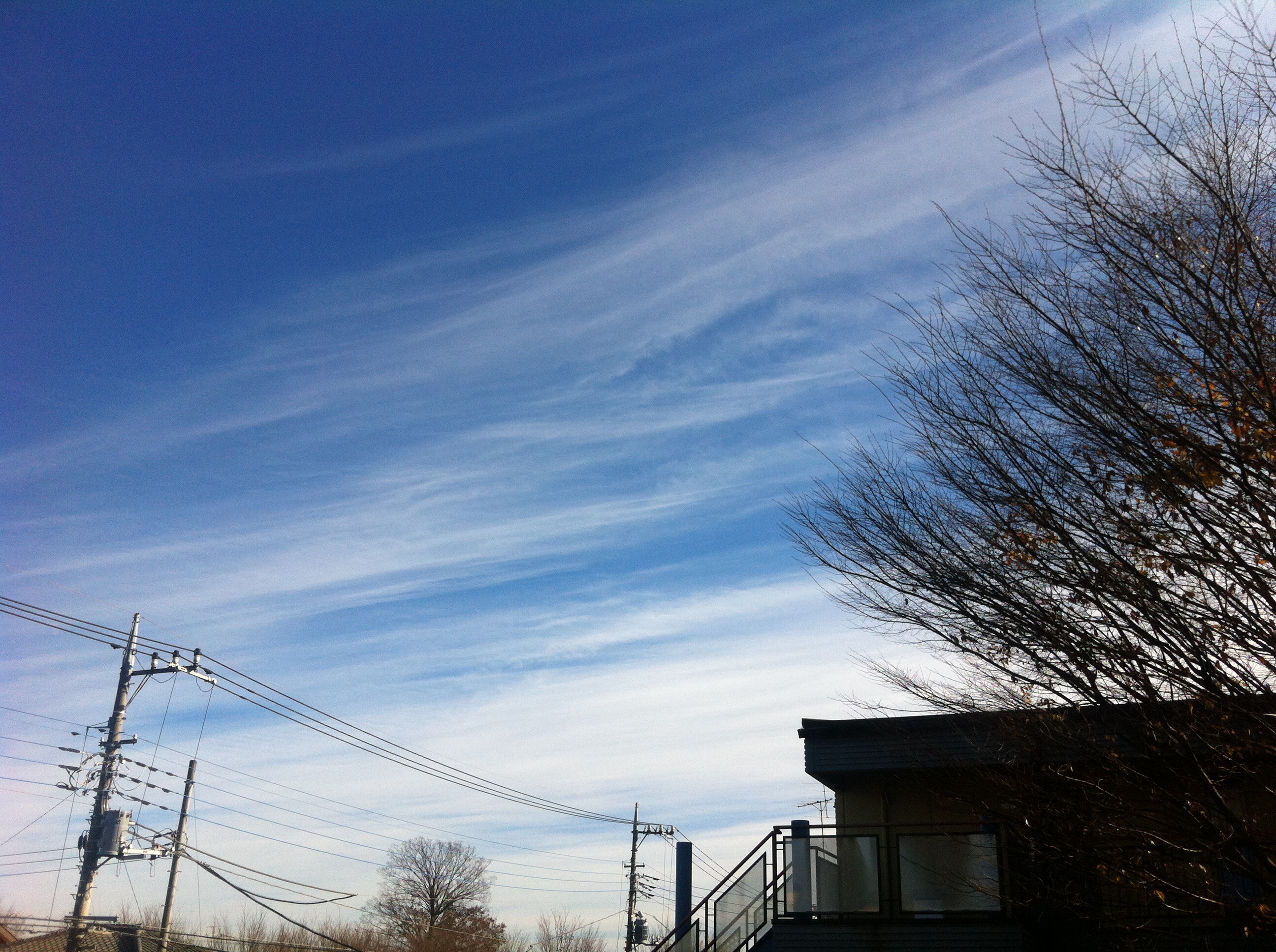 No.38694-1 地震雲