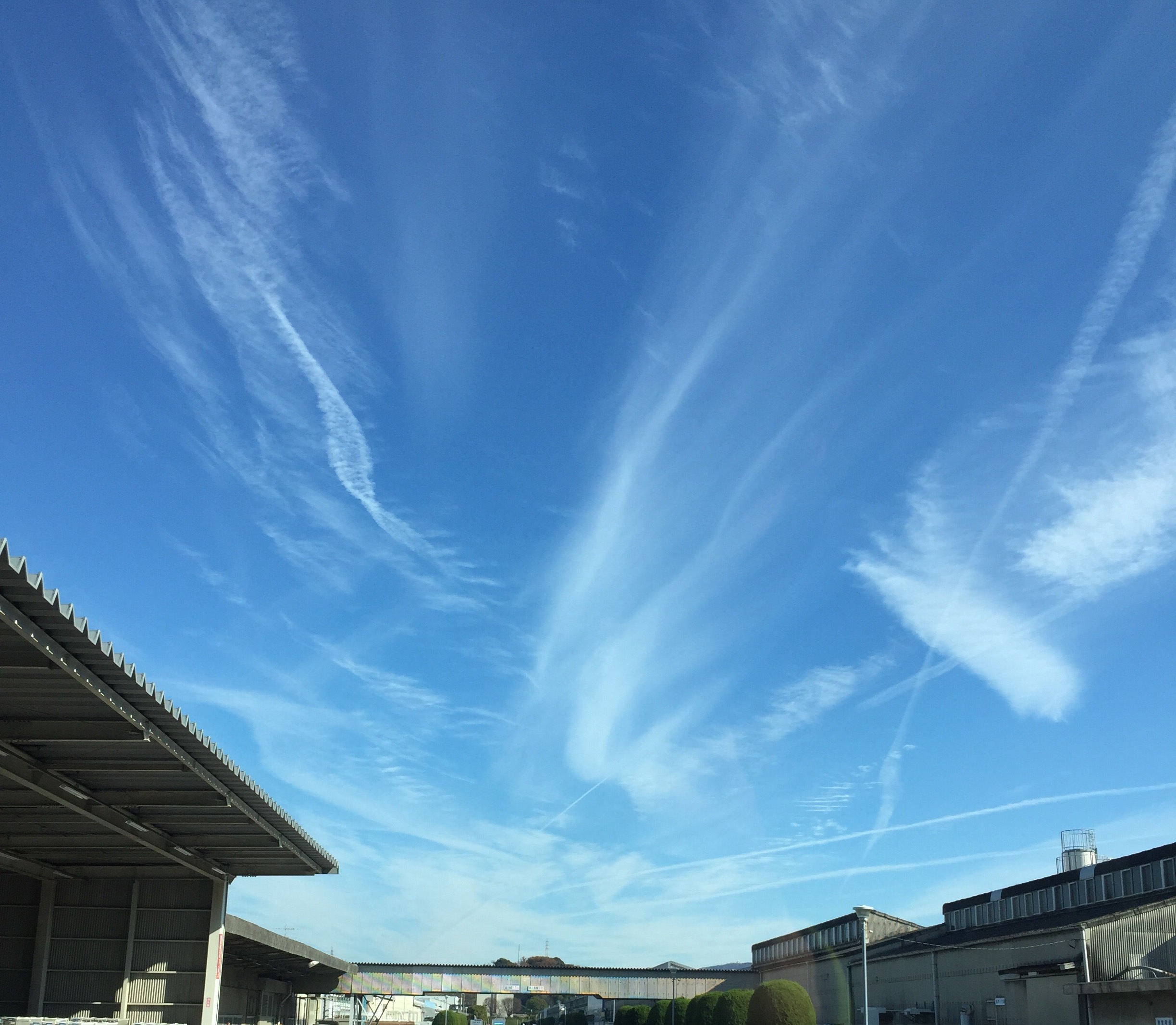 No.38792-1 地震雲