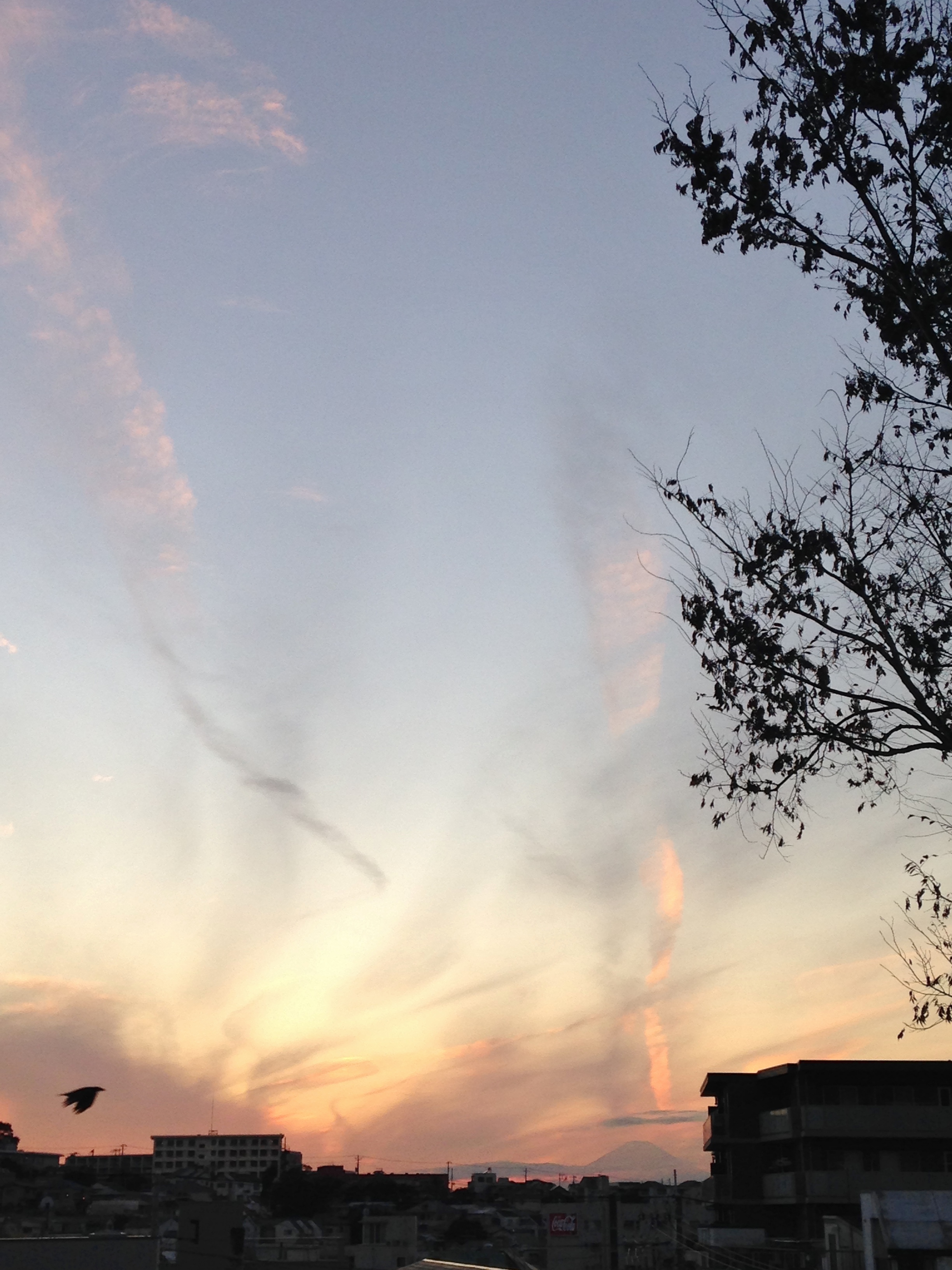 No.38870-1 地震雲