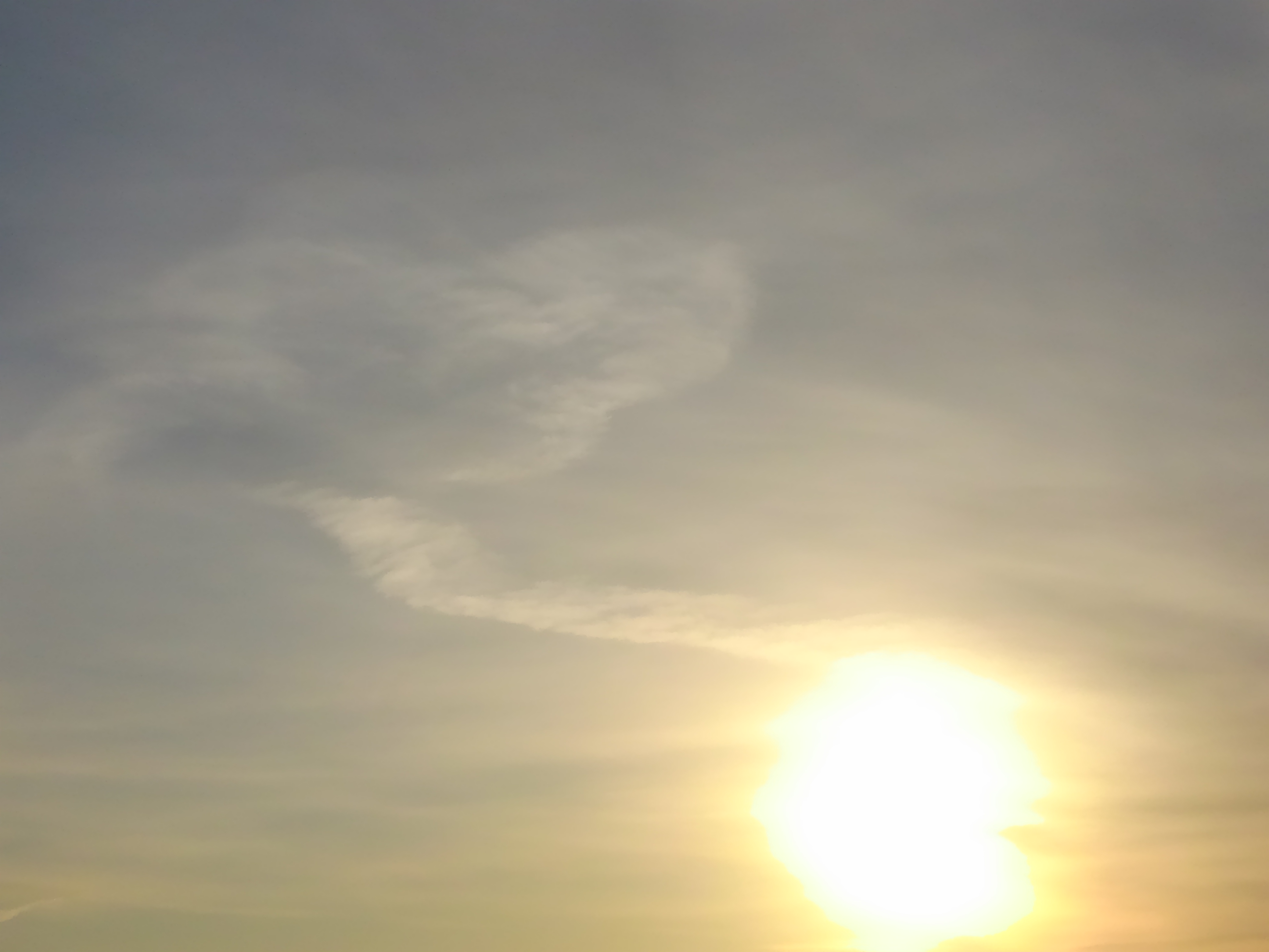 No.39100-1 地震雲