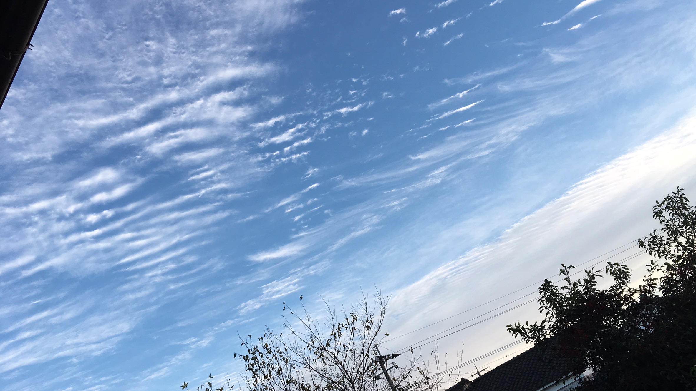 No.39113-1 地震雲