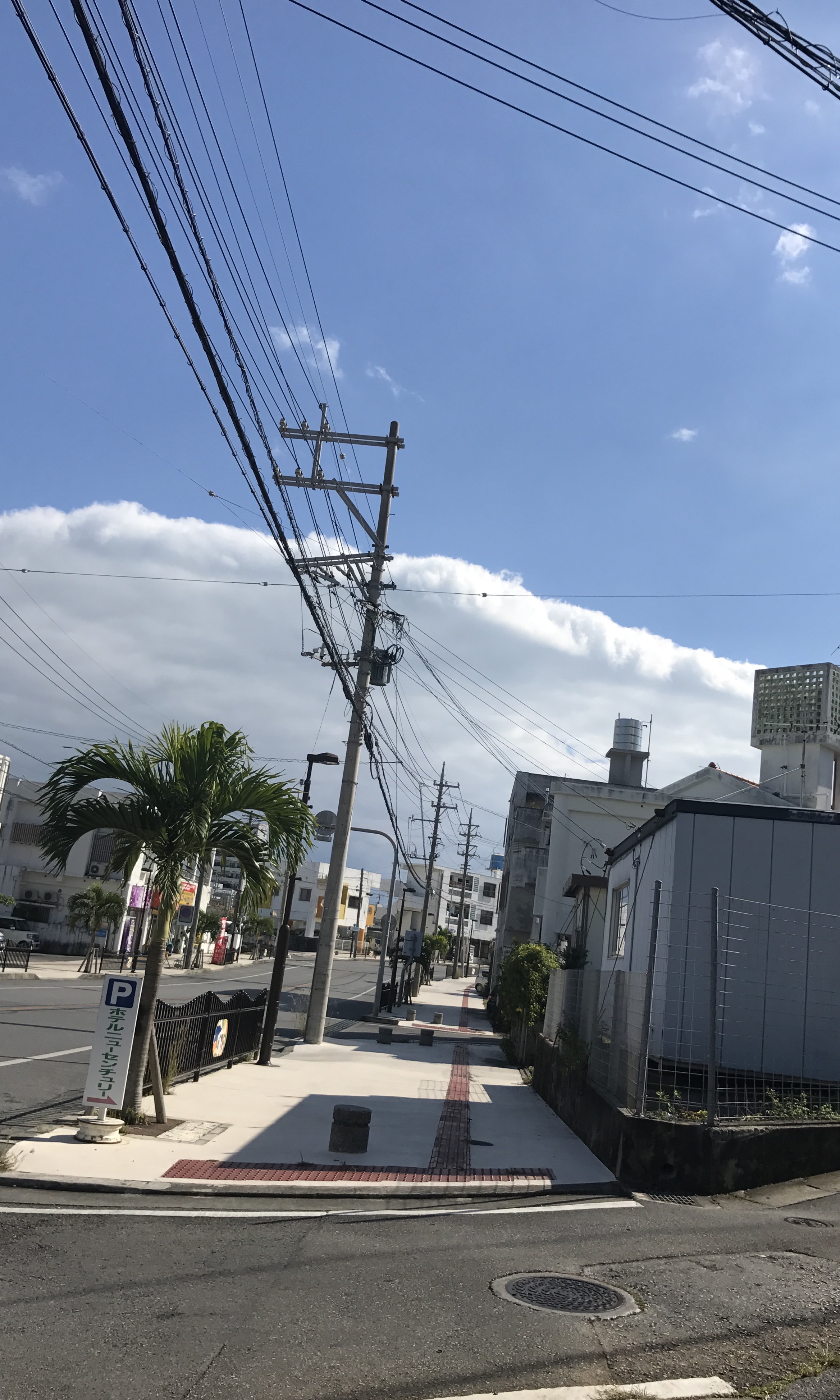 No.39142-1 地震雲