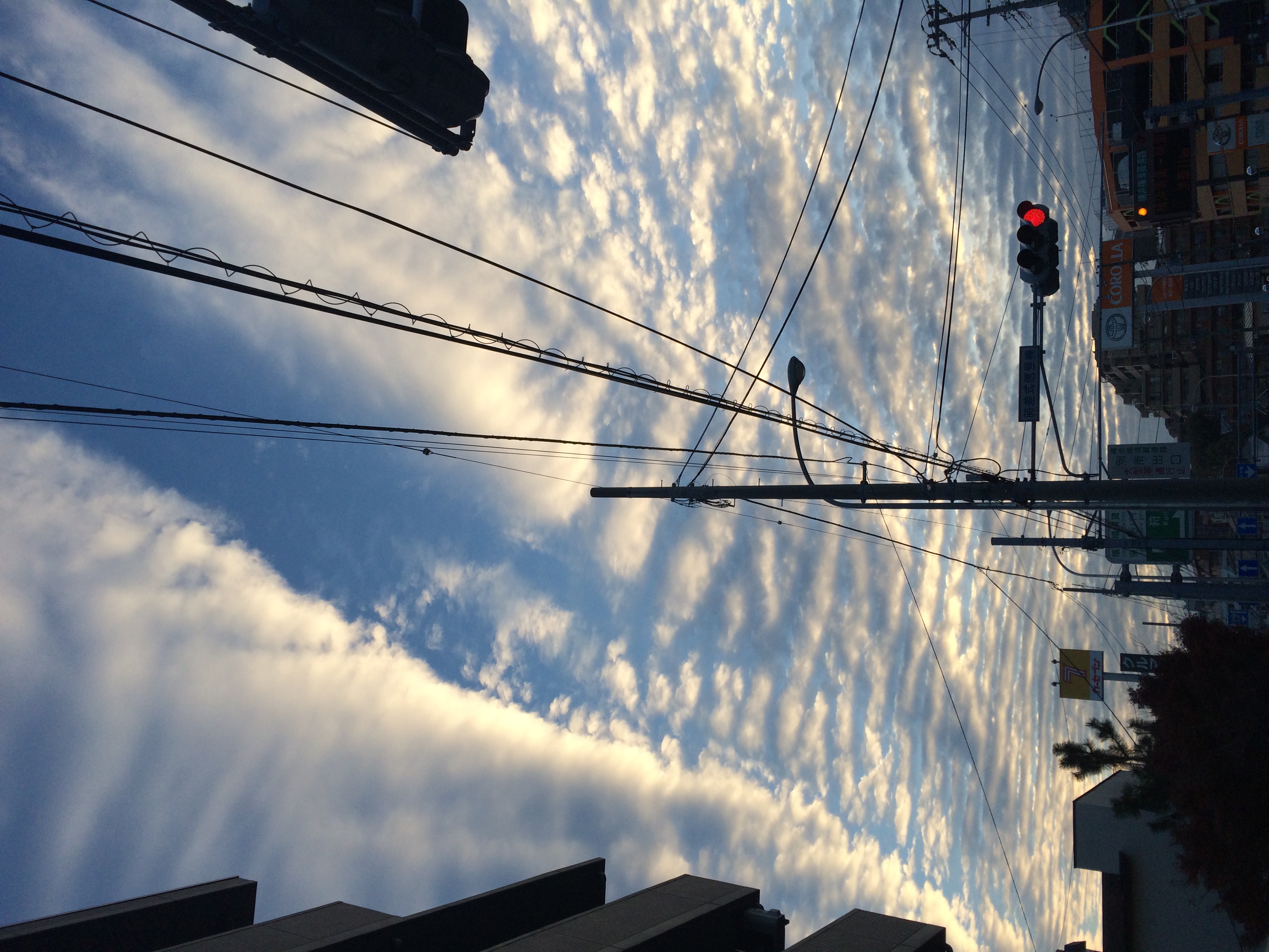 No.39245-1 地震雲