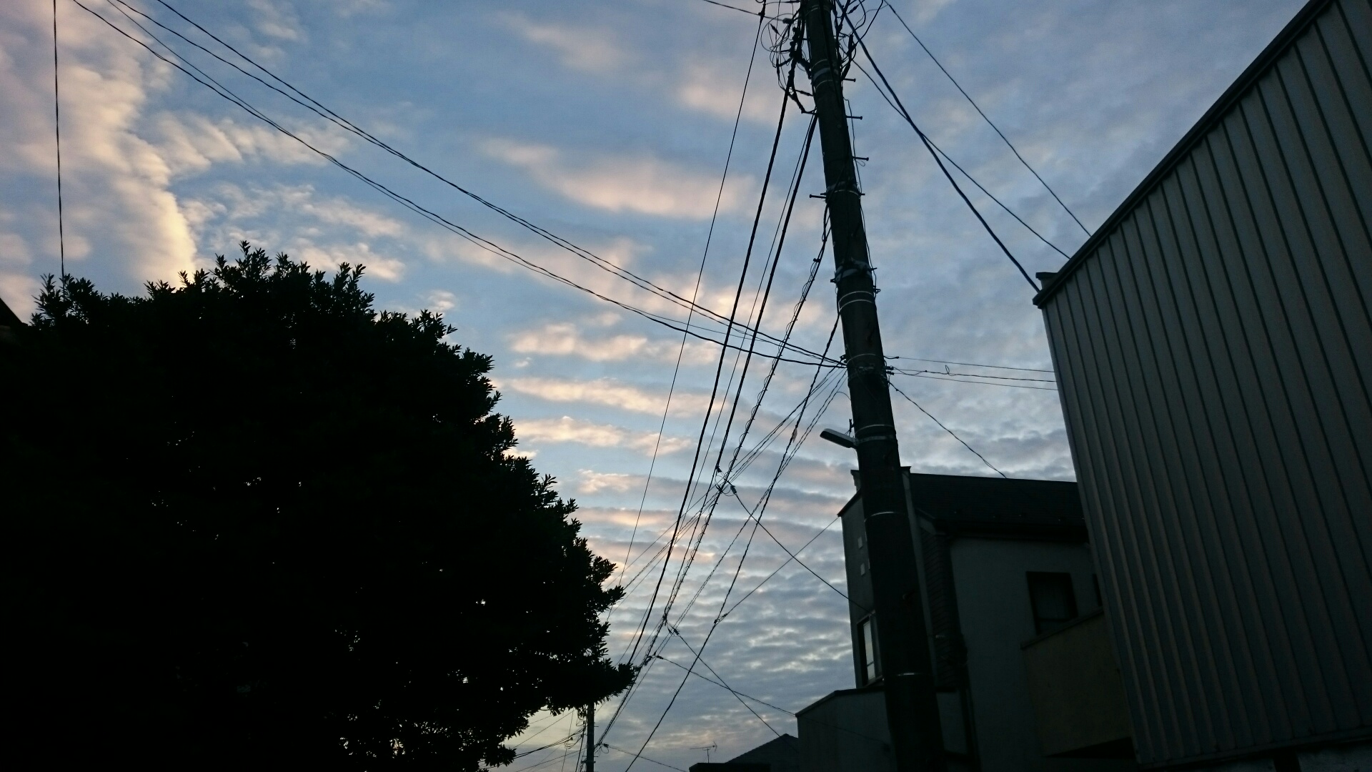 No.39247-1 地震雲