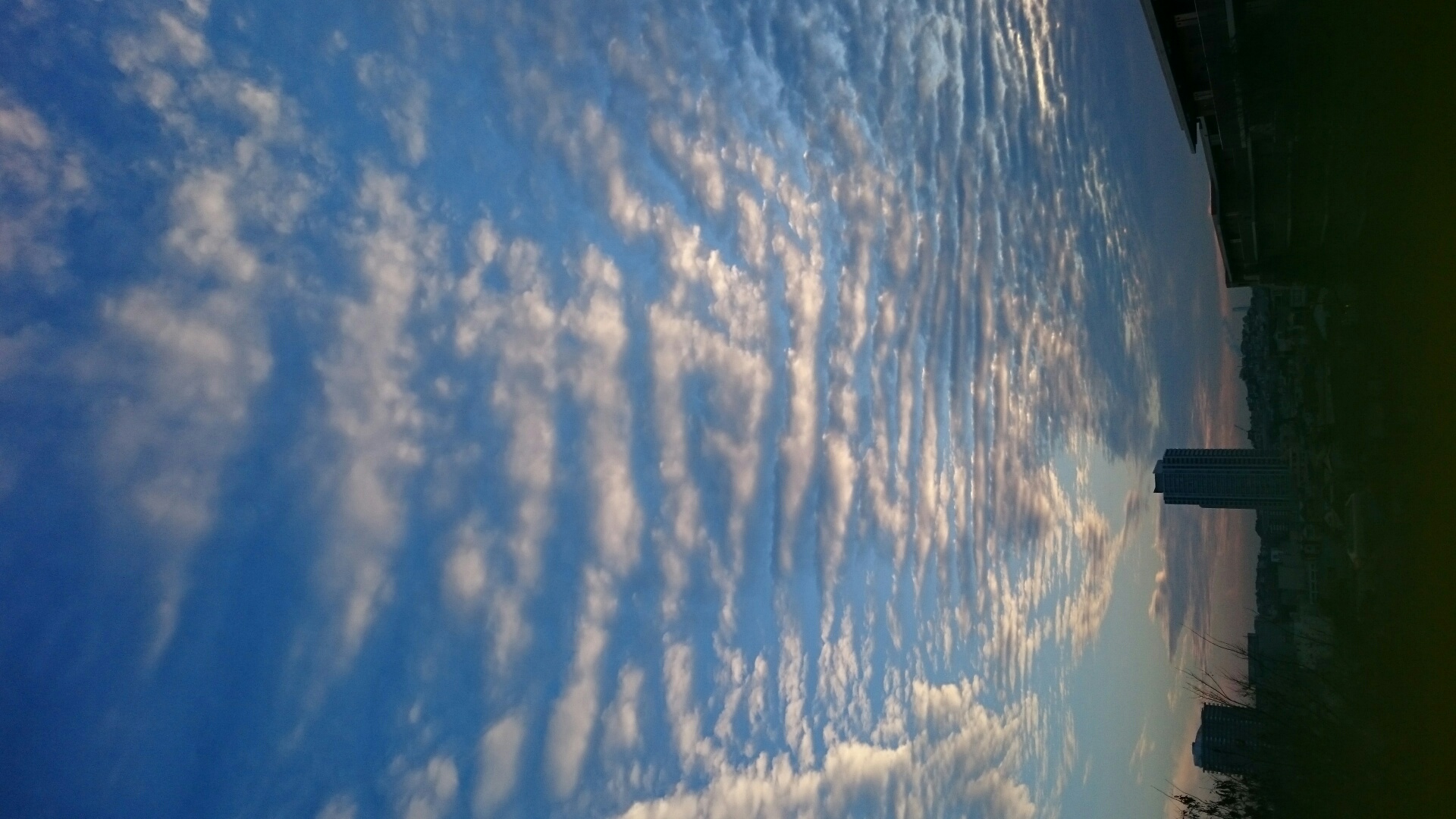 No.39248-1 地震雲