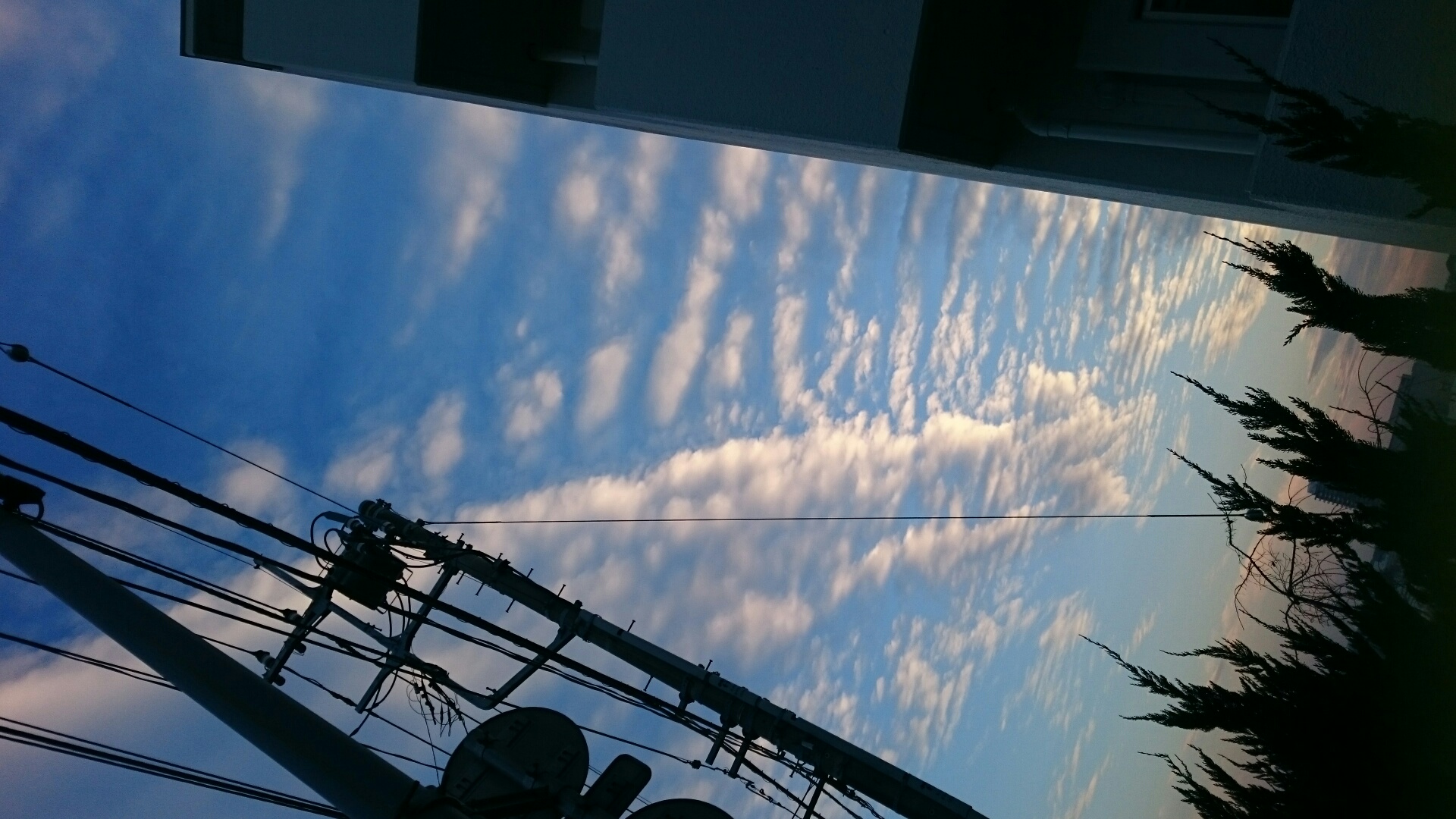 No.39249-1 地震雲