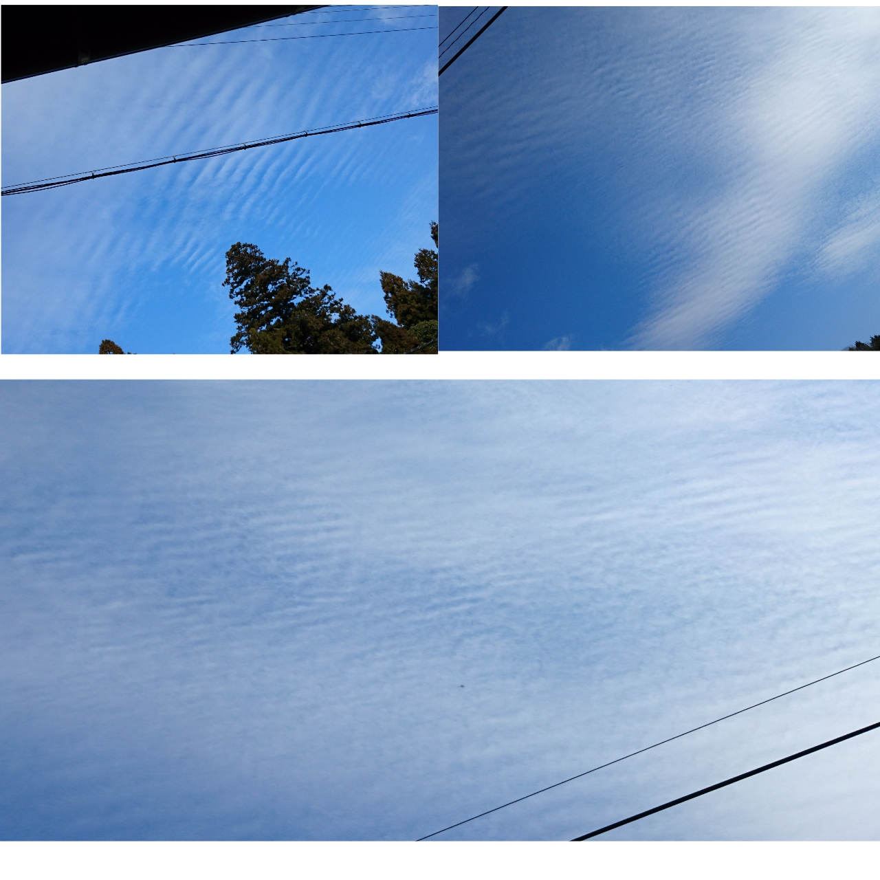 No.39503-1 地震雲