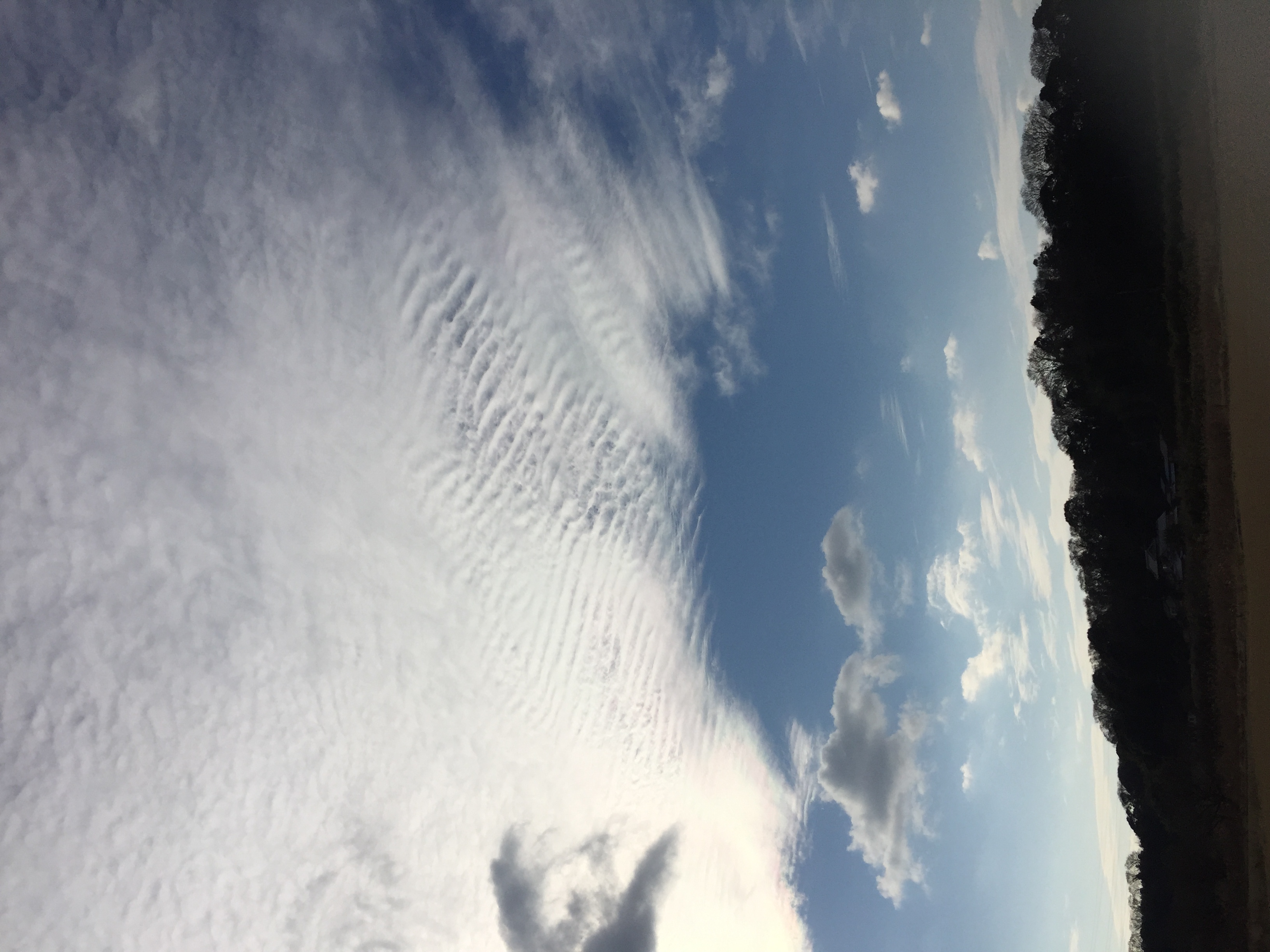 No.39506-1 地震雲