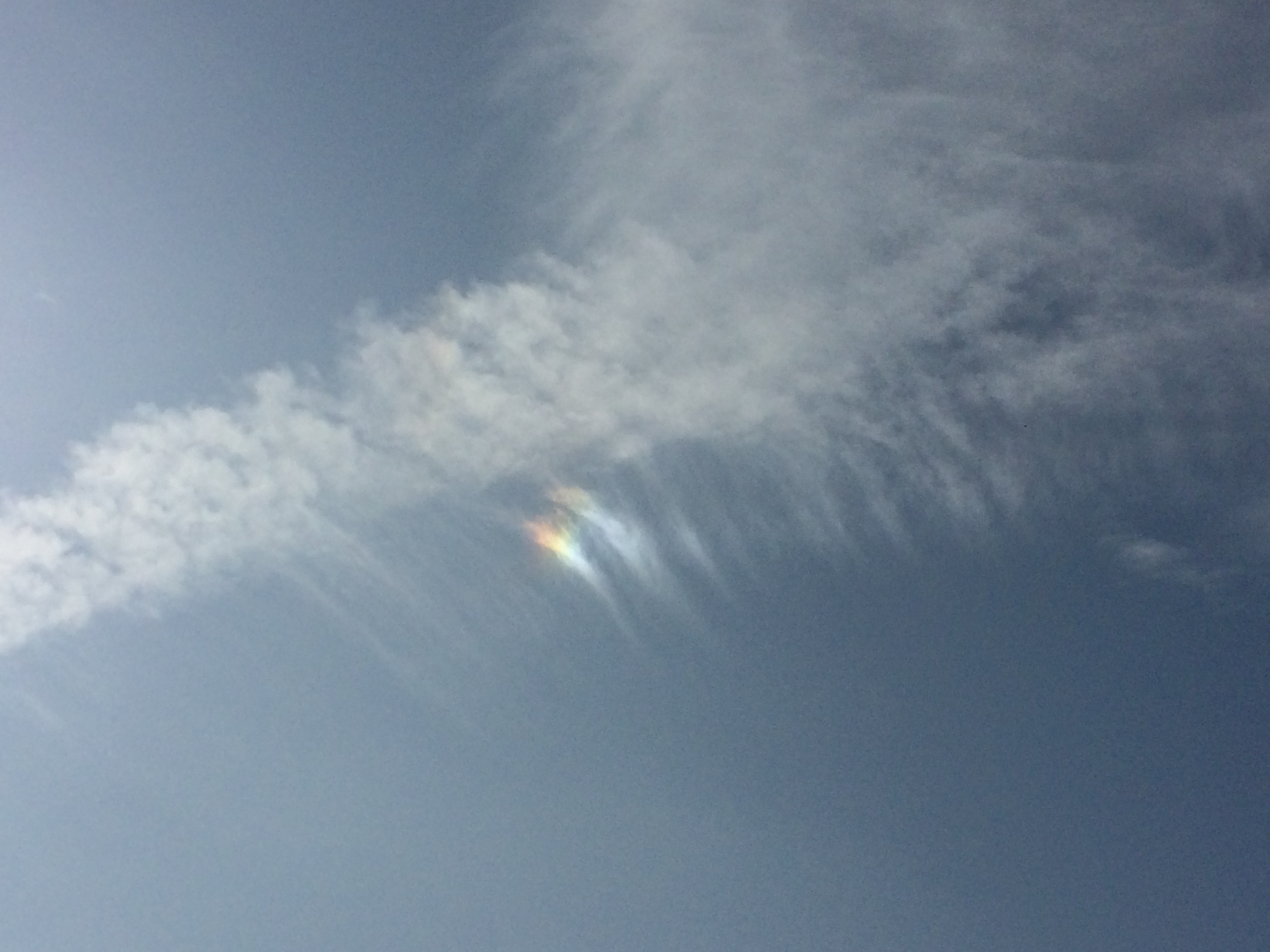 No.39524-1 地震雲