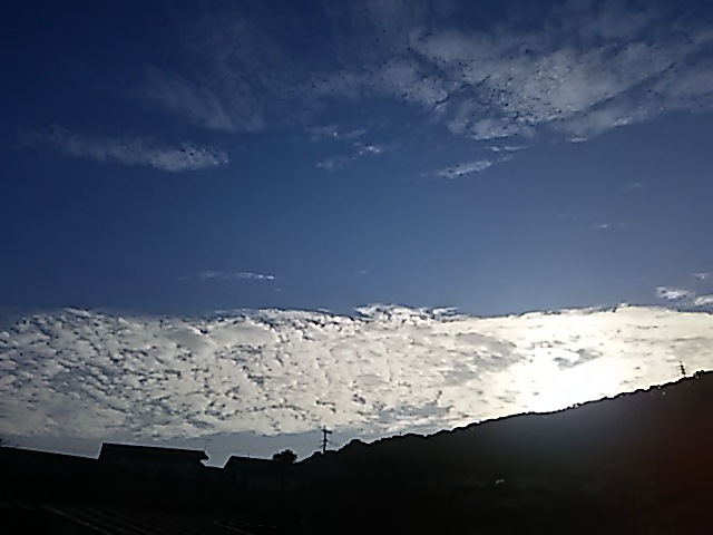 No.39529-1 地震雲