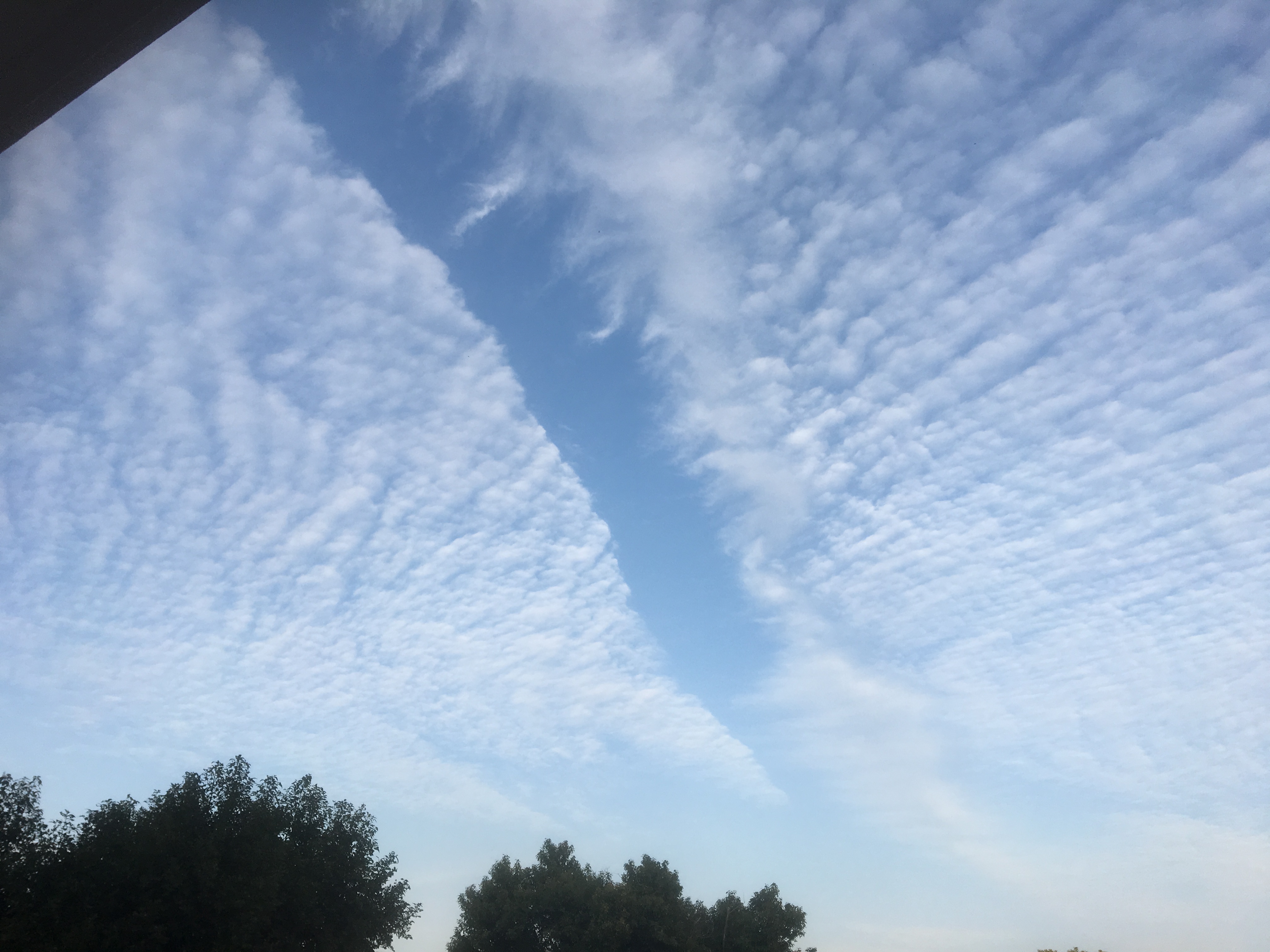 No.39533-1 地震雲