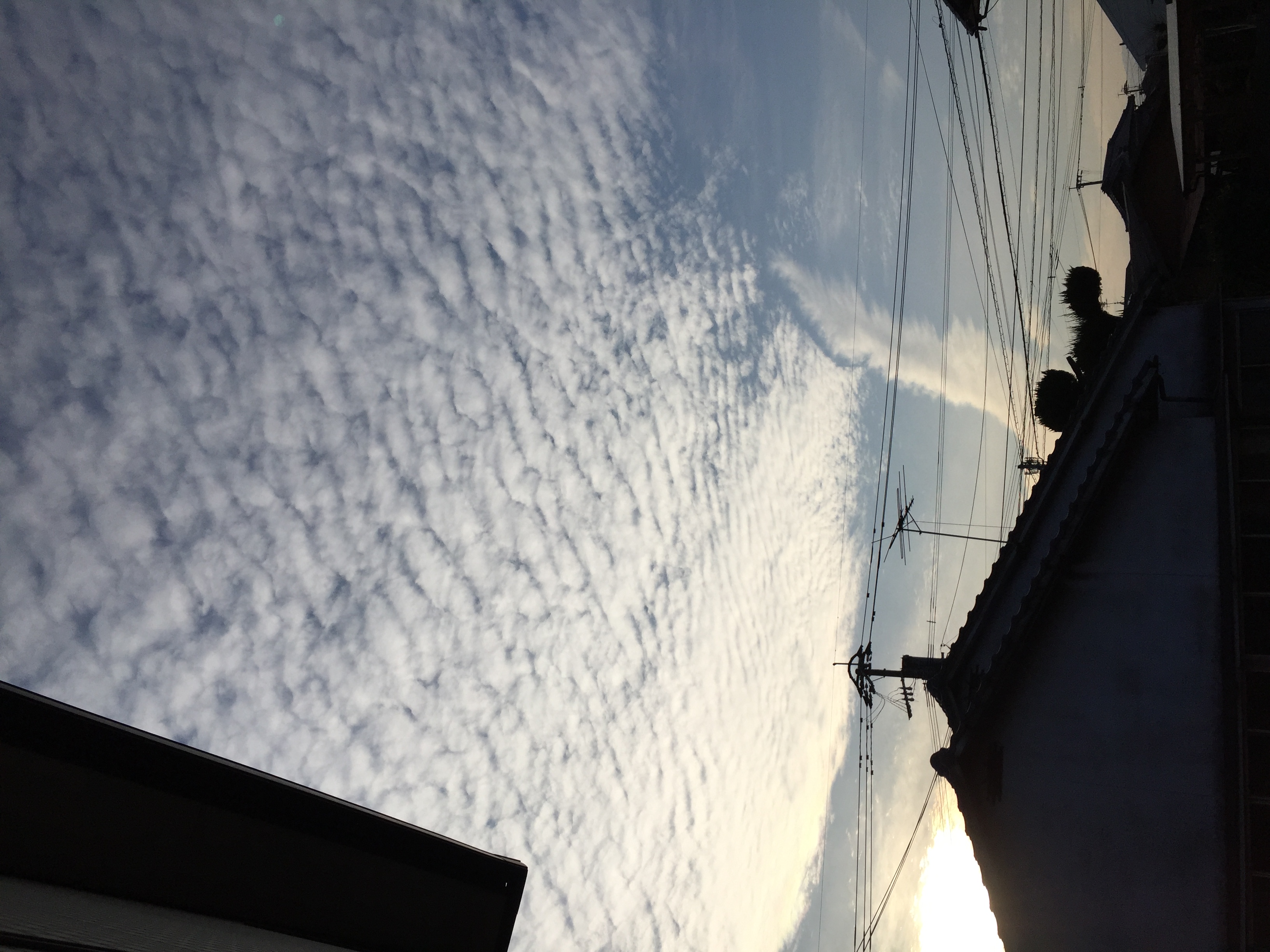 No.39535-1 地震雲