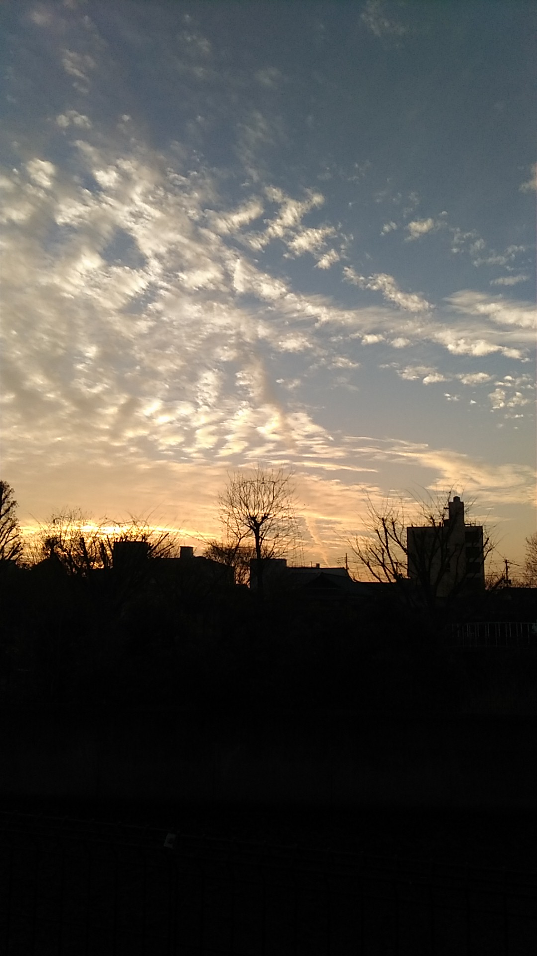 No.39557-1 地震雲