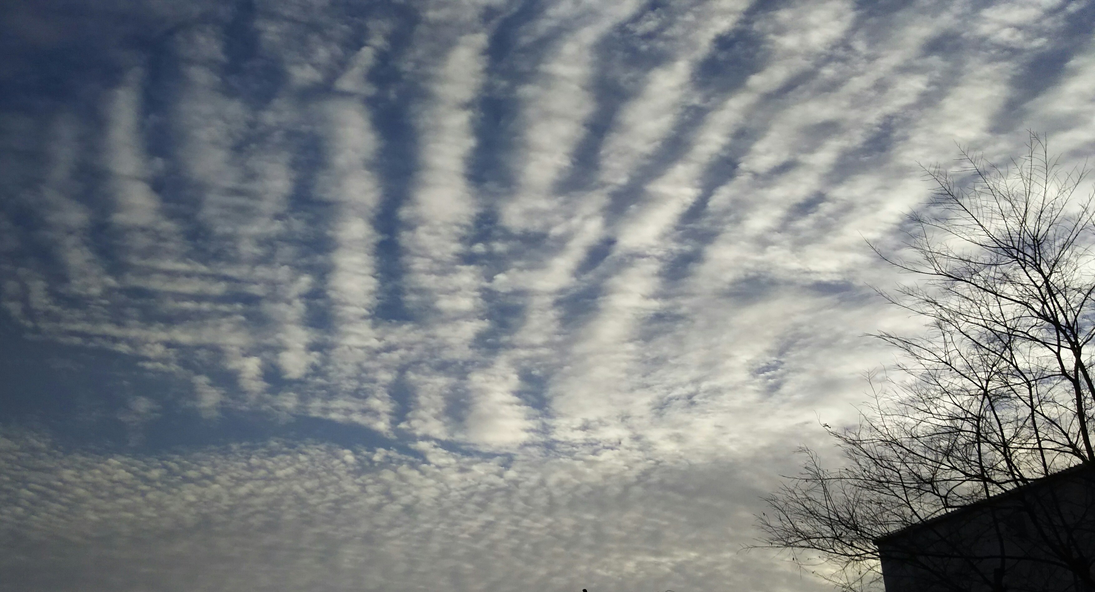 No.39561-1 地震雲