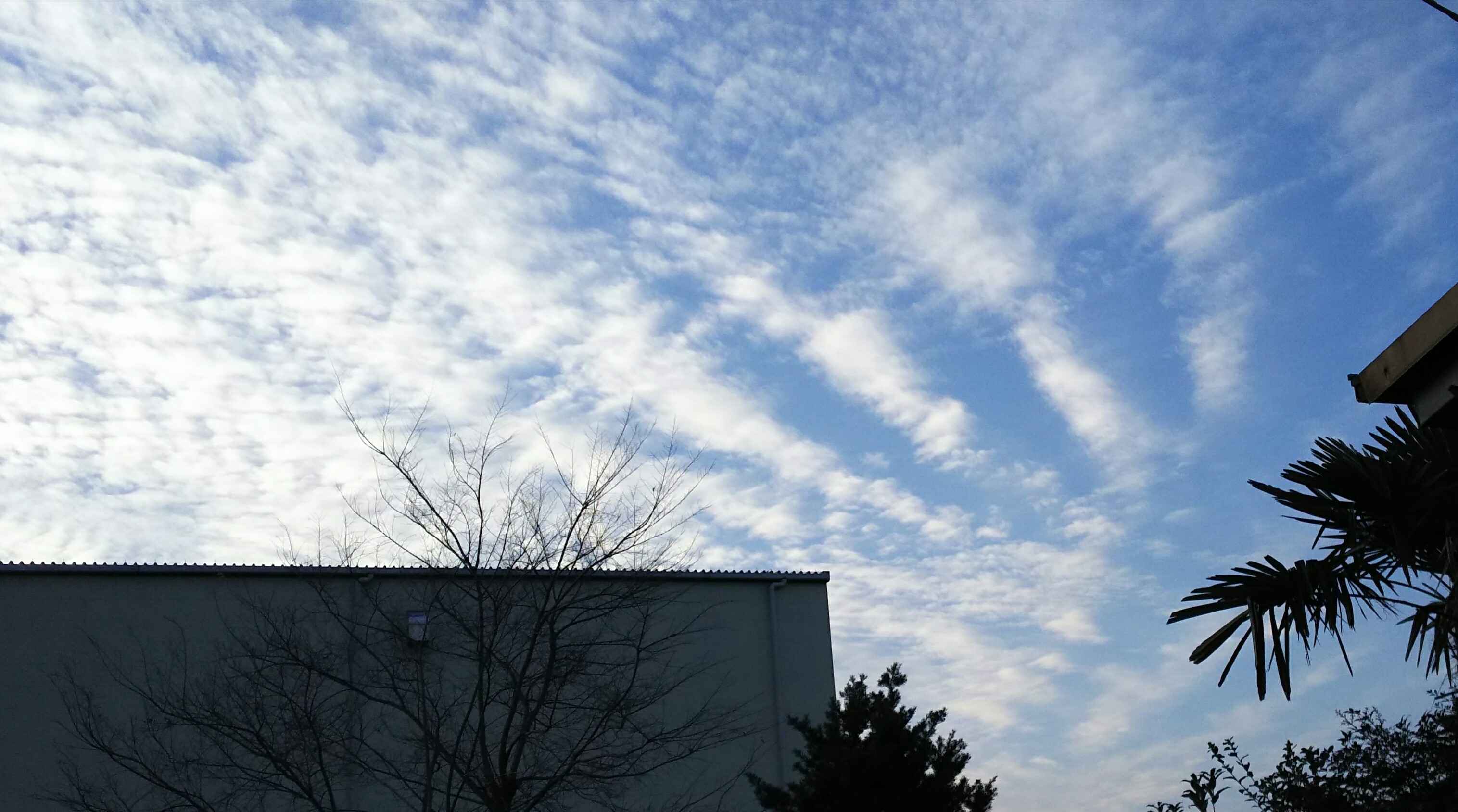 No.39562-1 地震雲