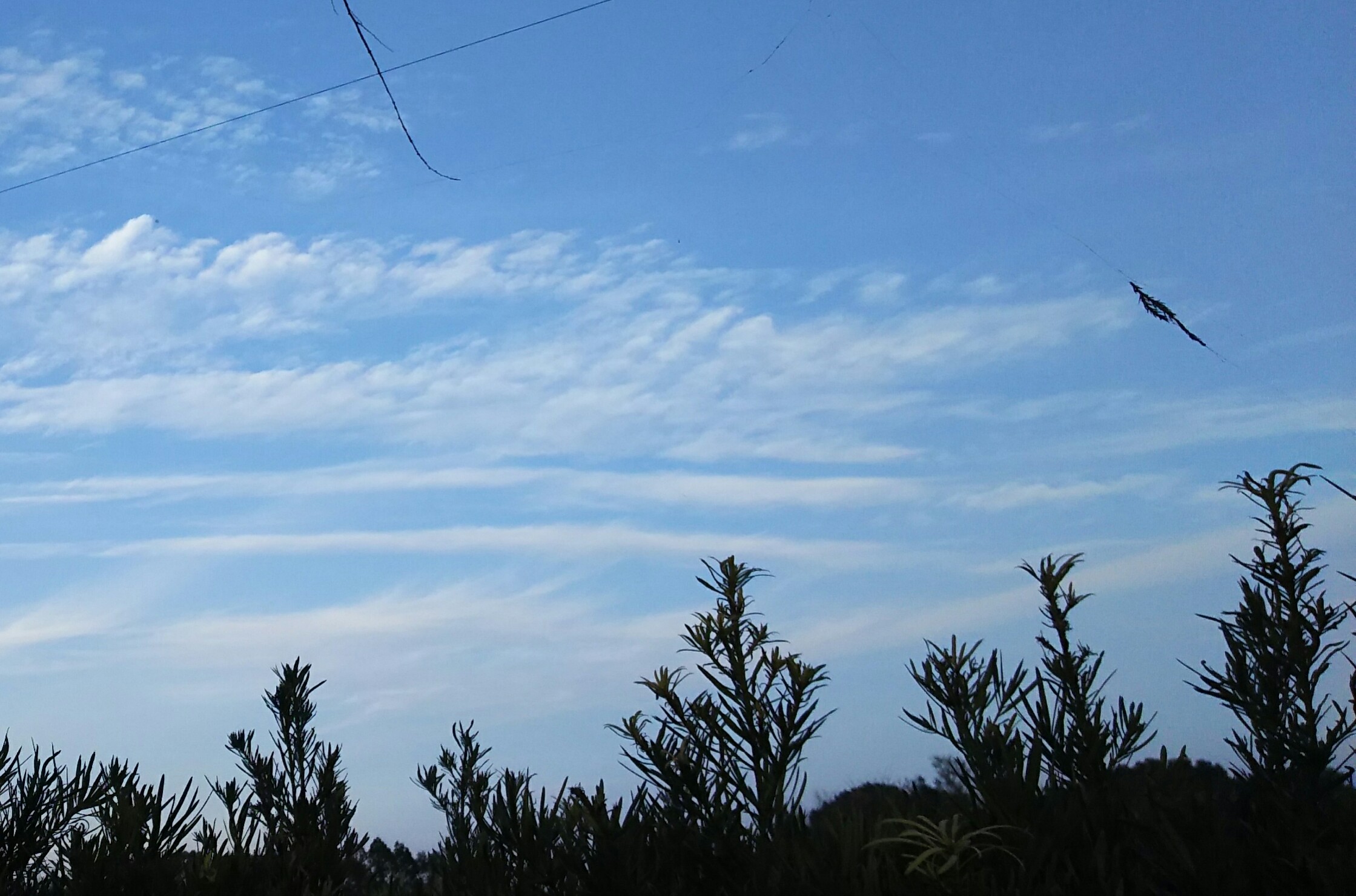 No.39563-1 地震雲