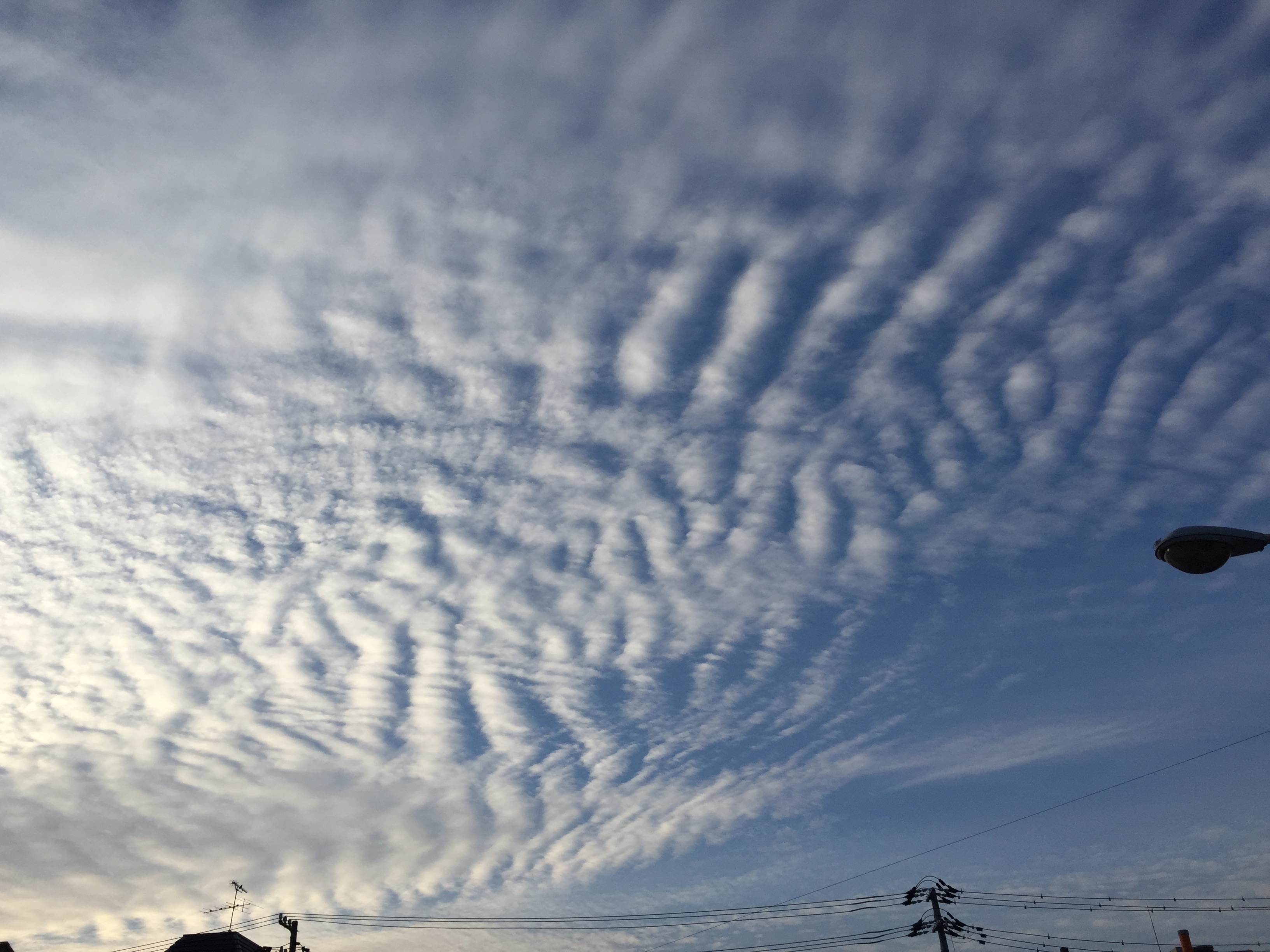 No.39619-1 地震雲