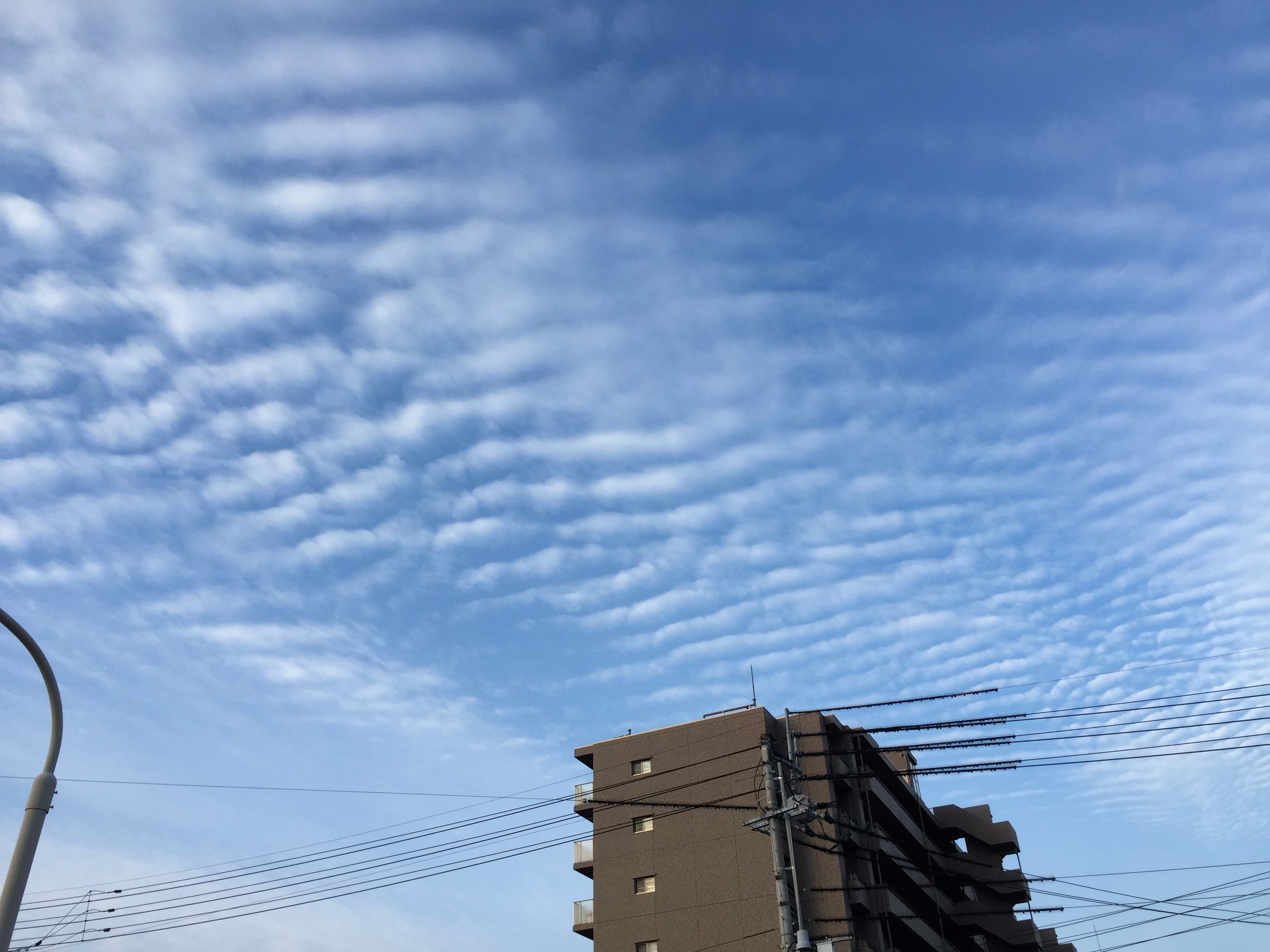 No.39620-1 地震雲