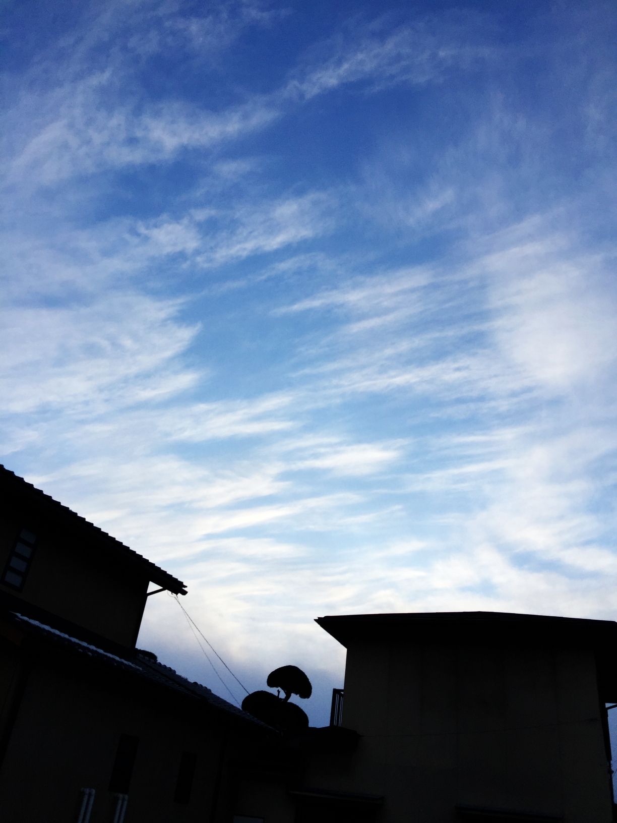 No.40138-1 地震雲