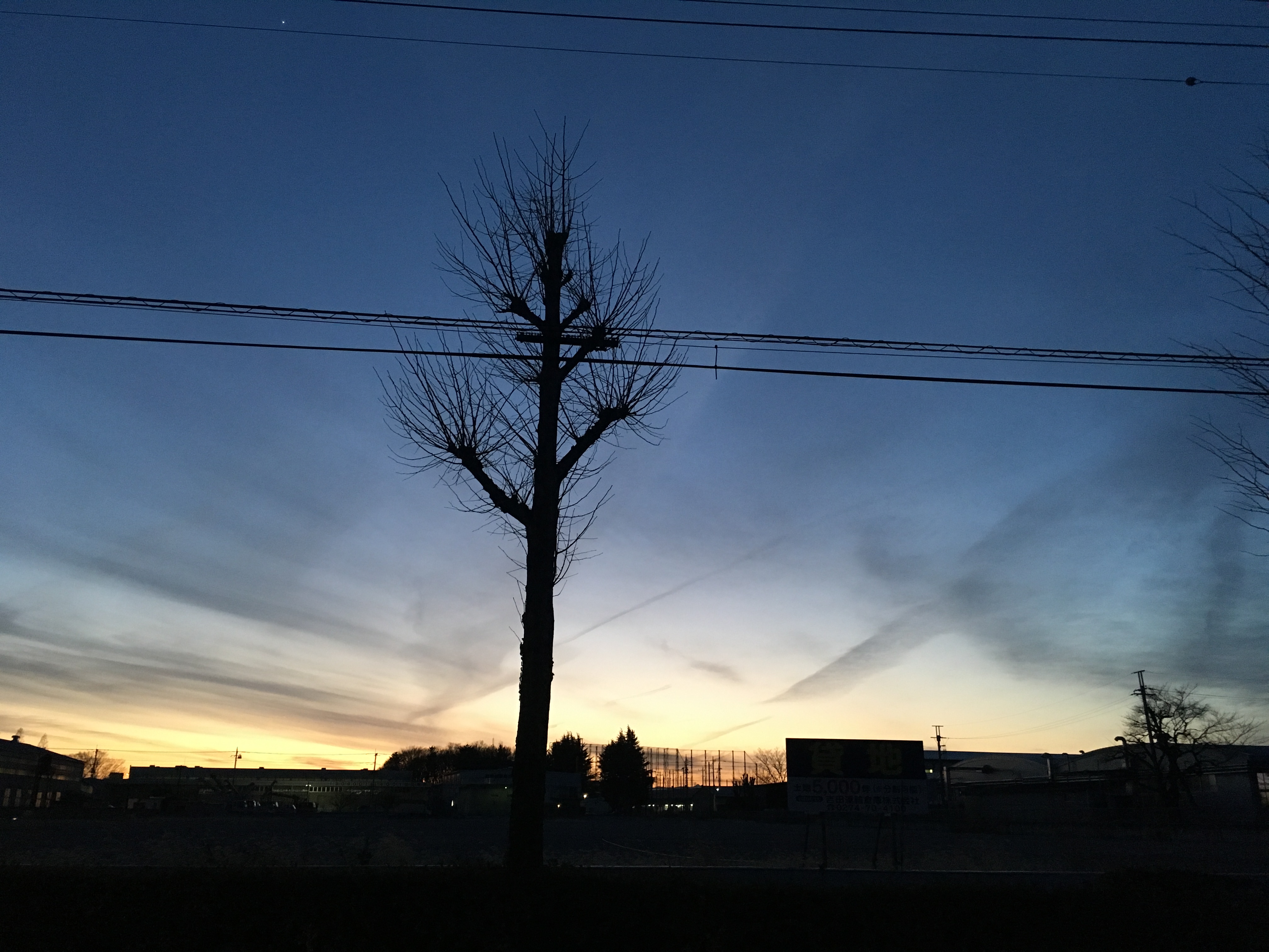 No.40178-1 地震雲