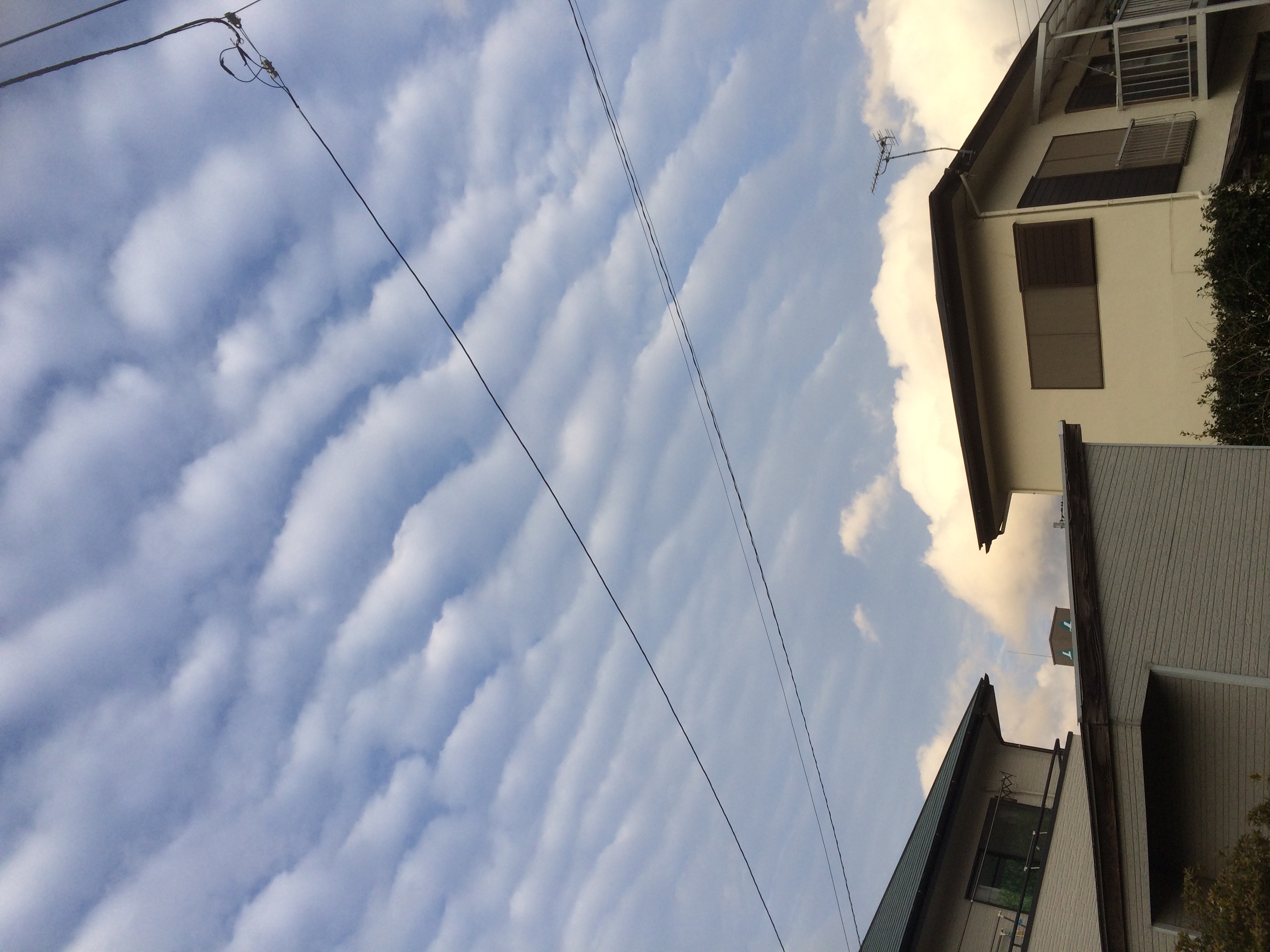 No.40275-1 地震雲