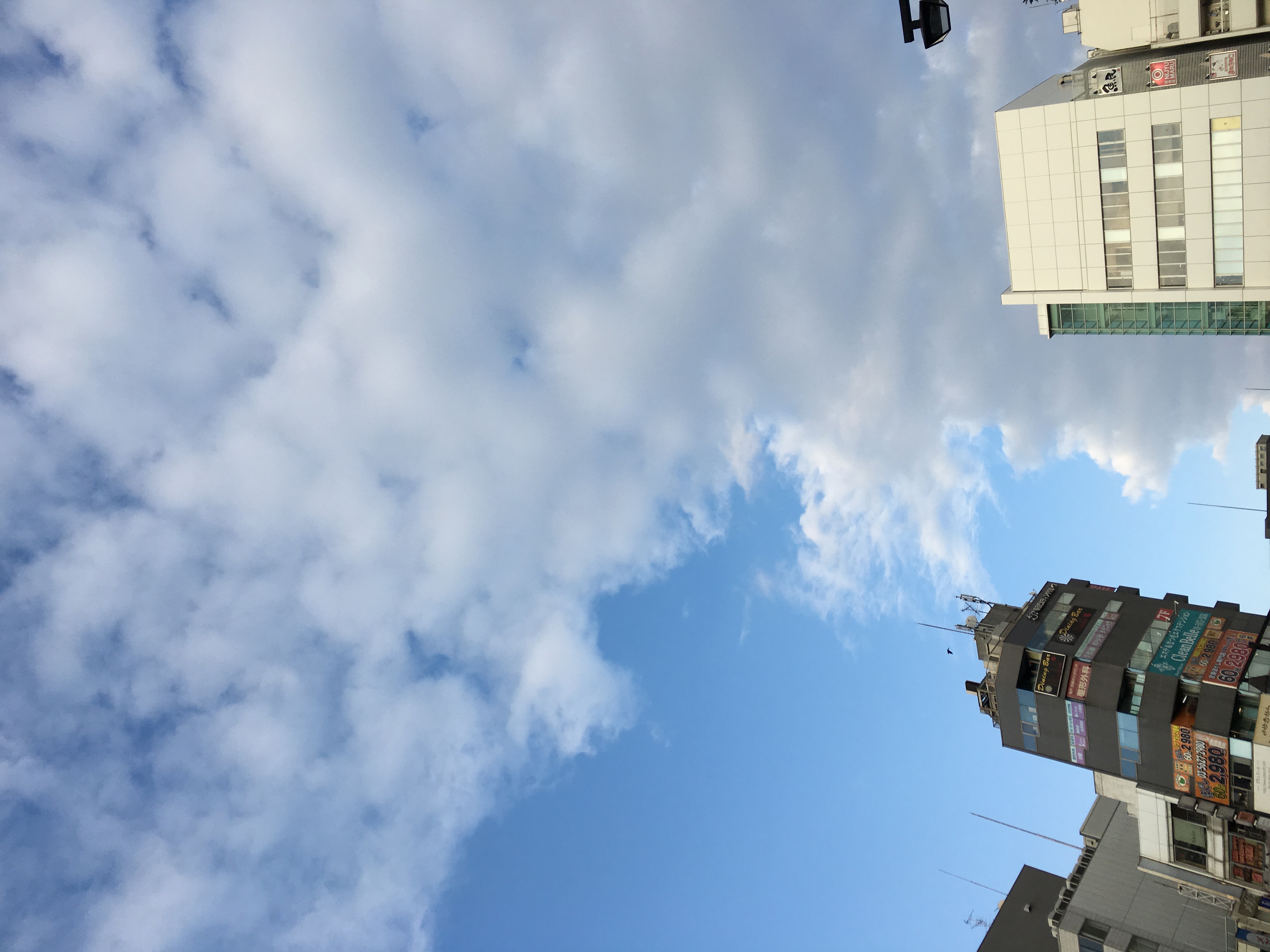 No.41111-1 地震雲