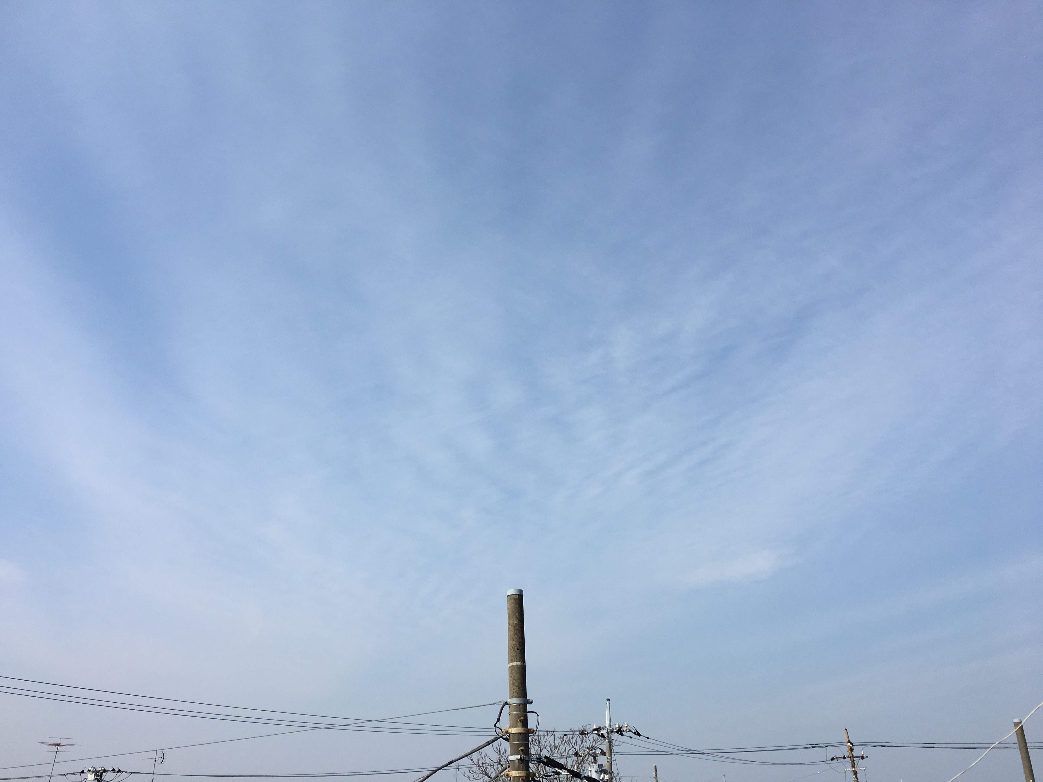 No.41236-1 地震雲