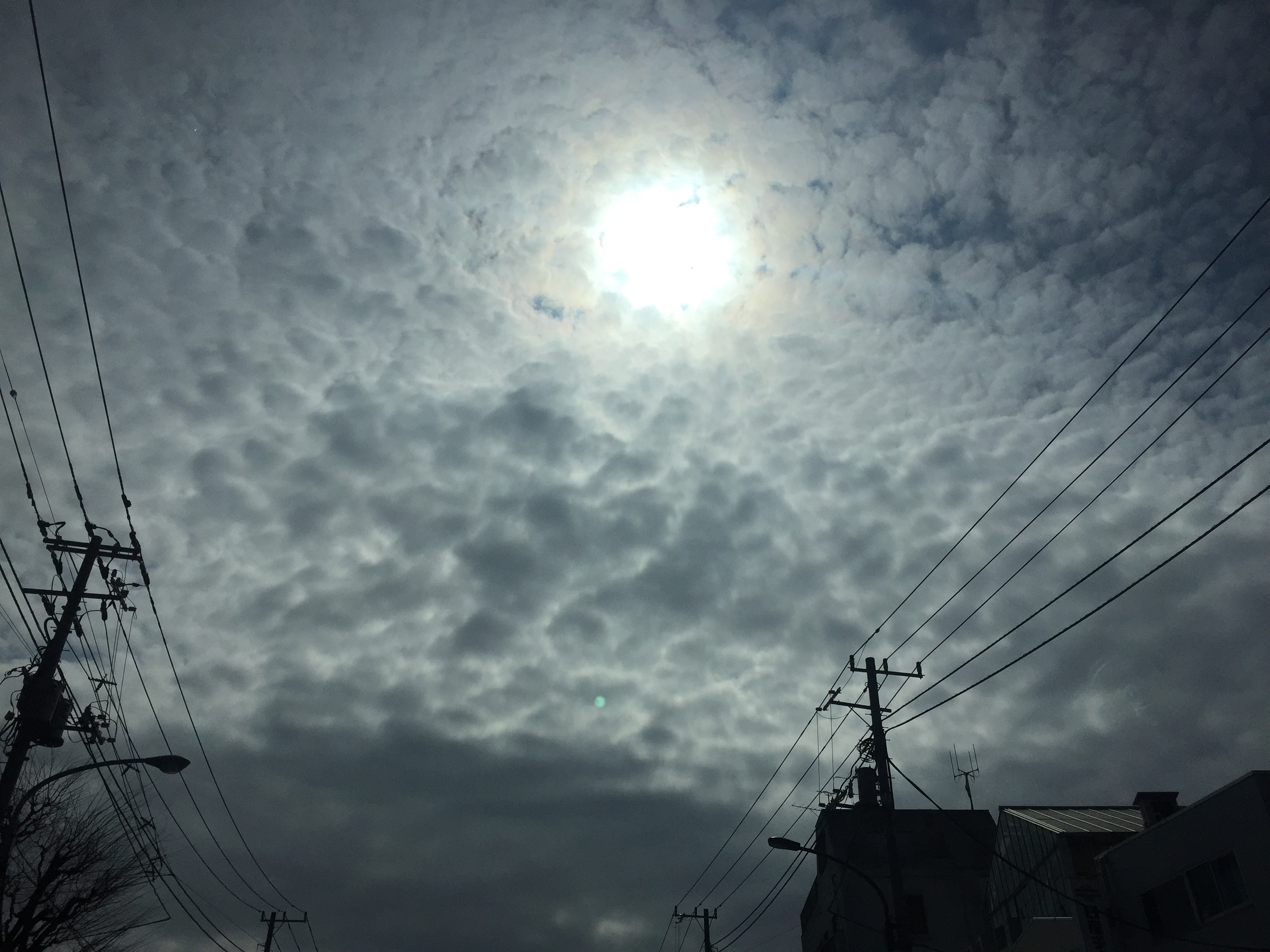 No.41388-1 地震雲