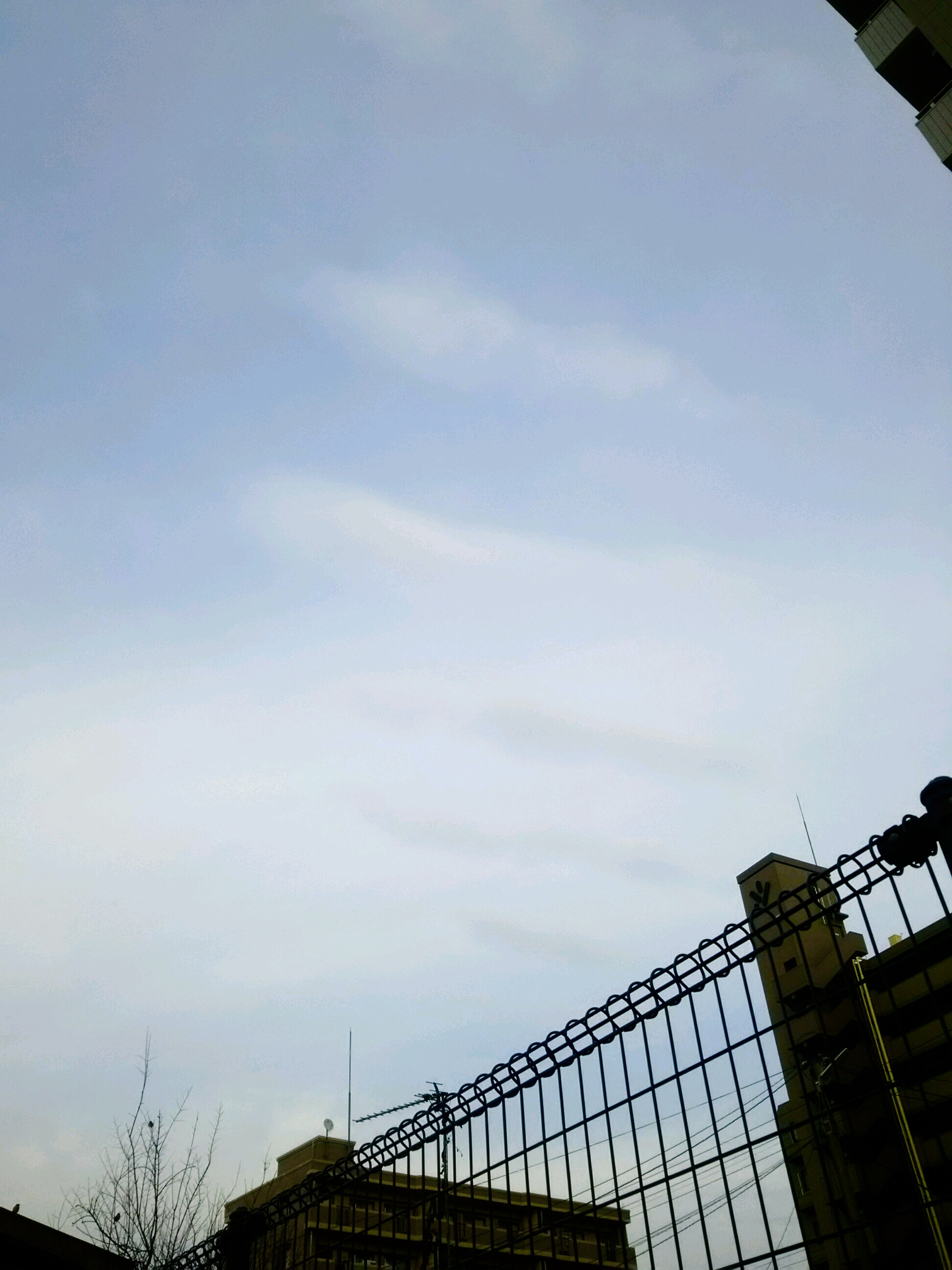 No.41751-1 地震雲