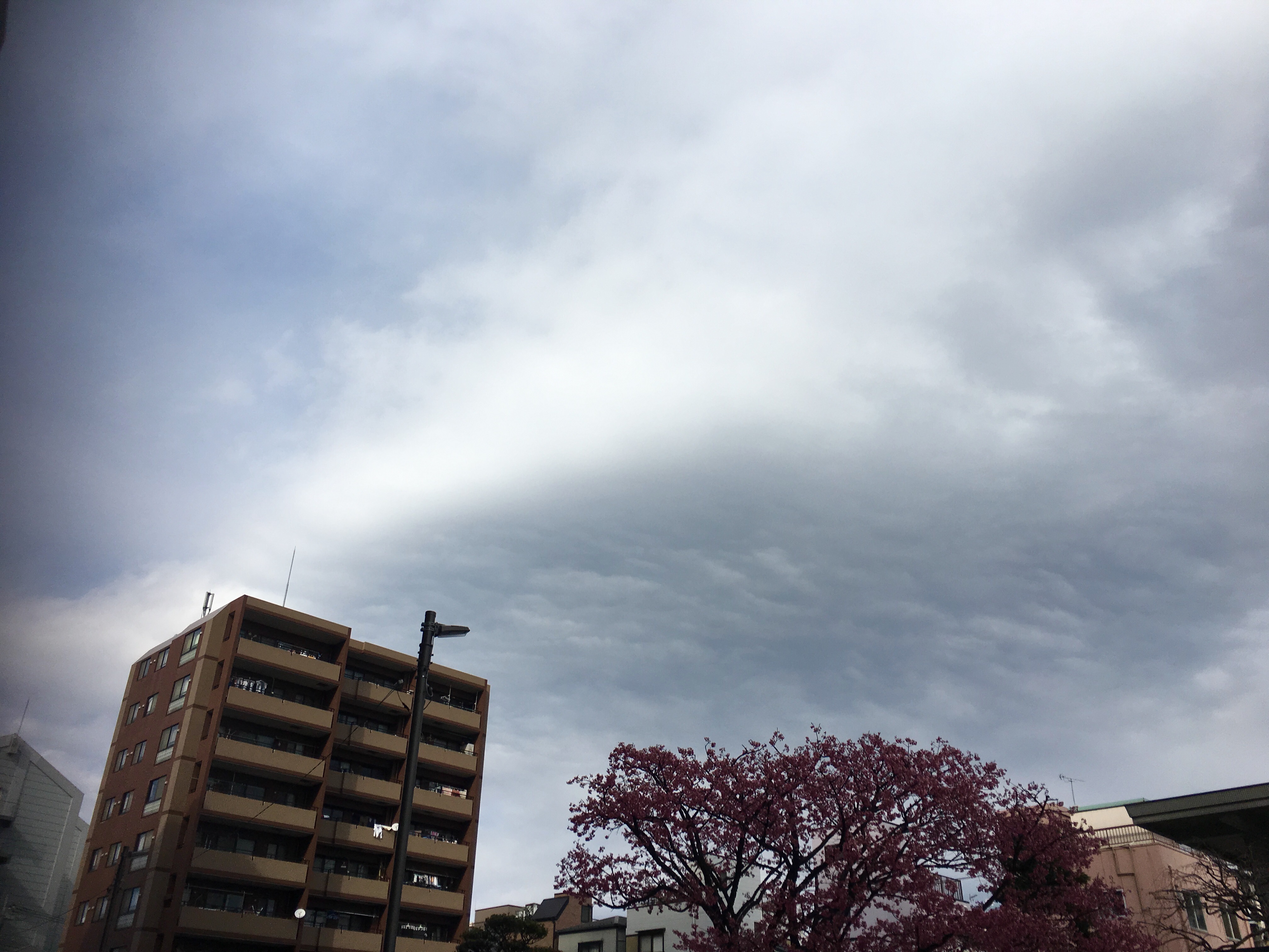 No.41867-1 地震雲