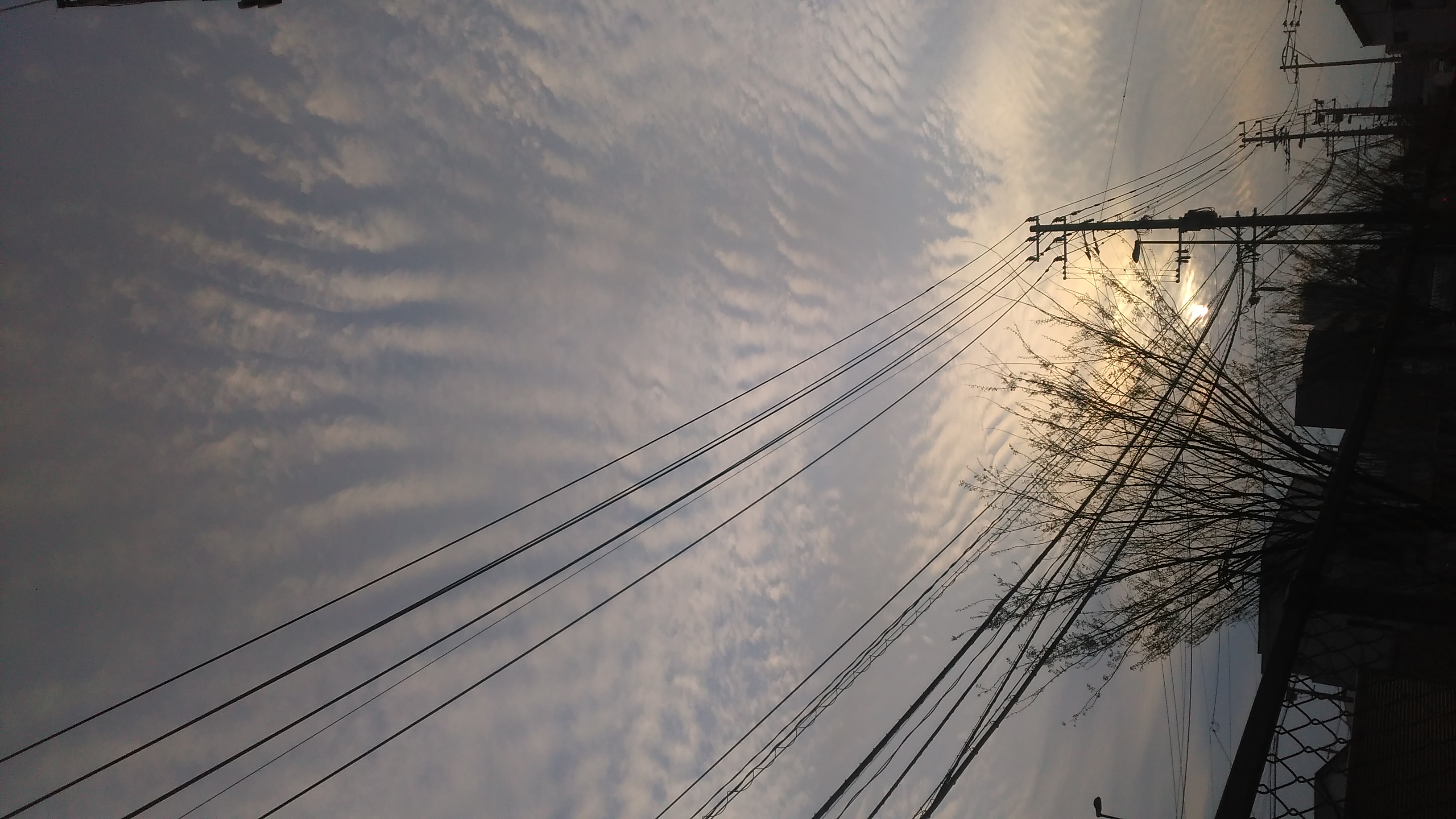 No.41997-1 地震雲