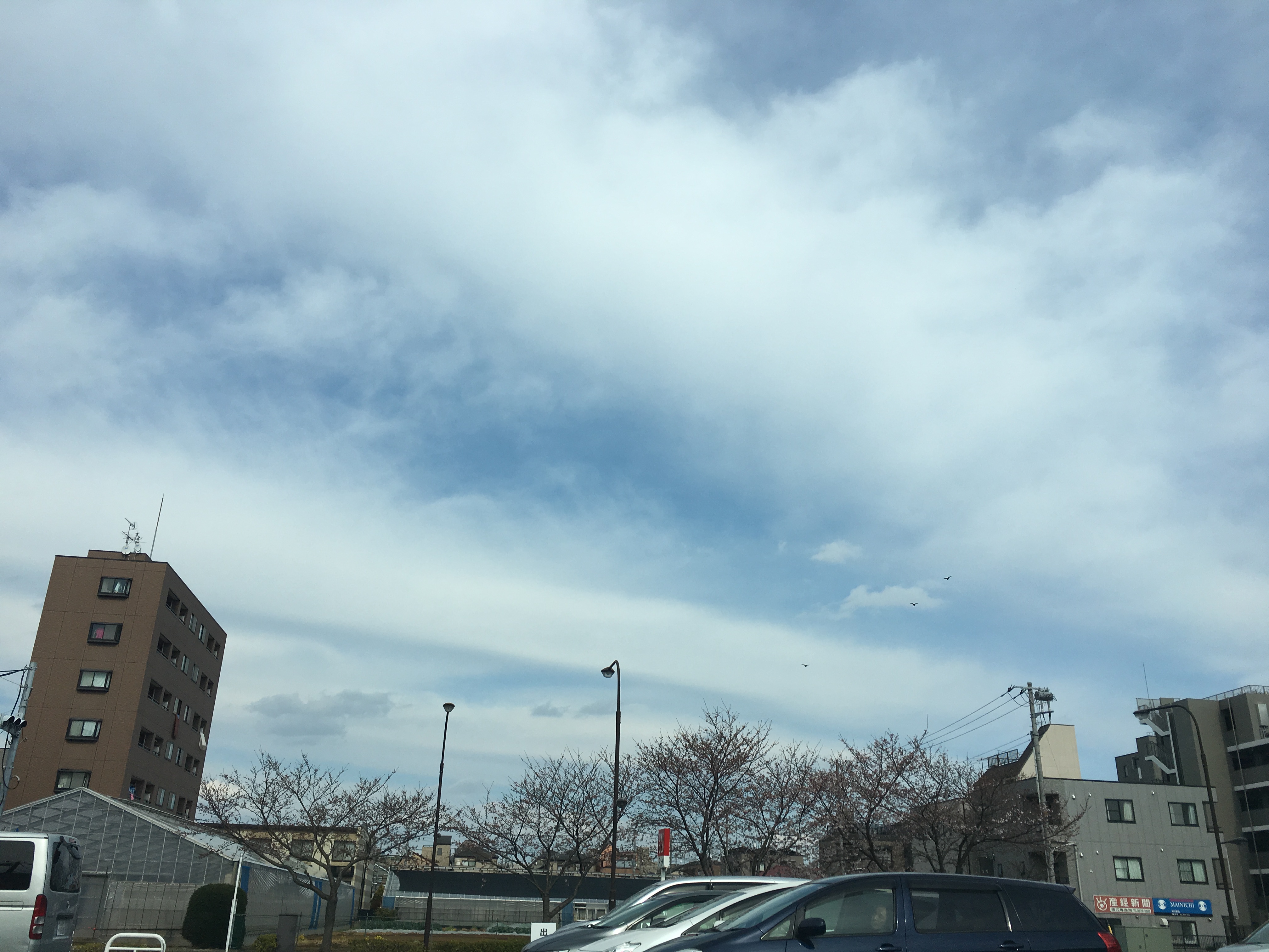 No.42088-1 地震雲