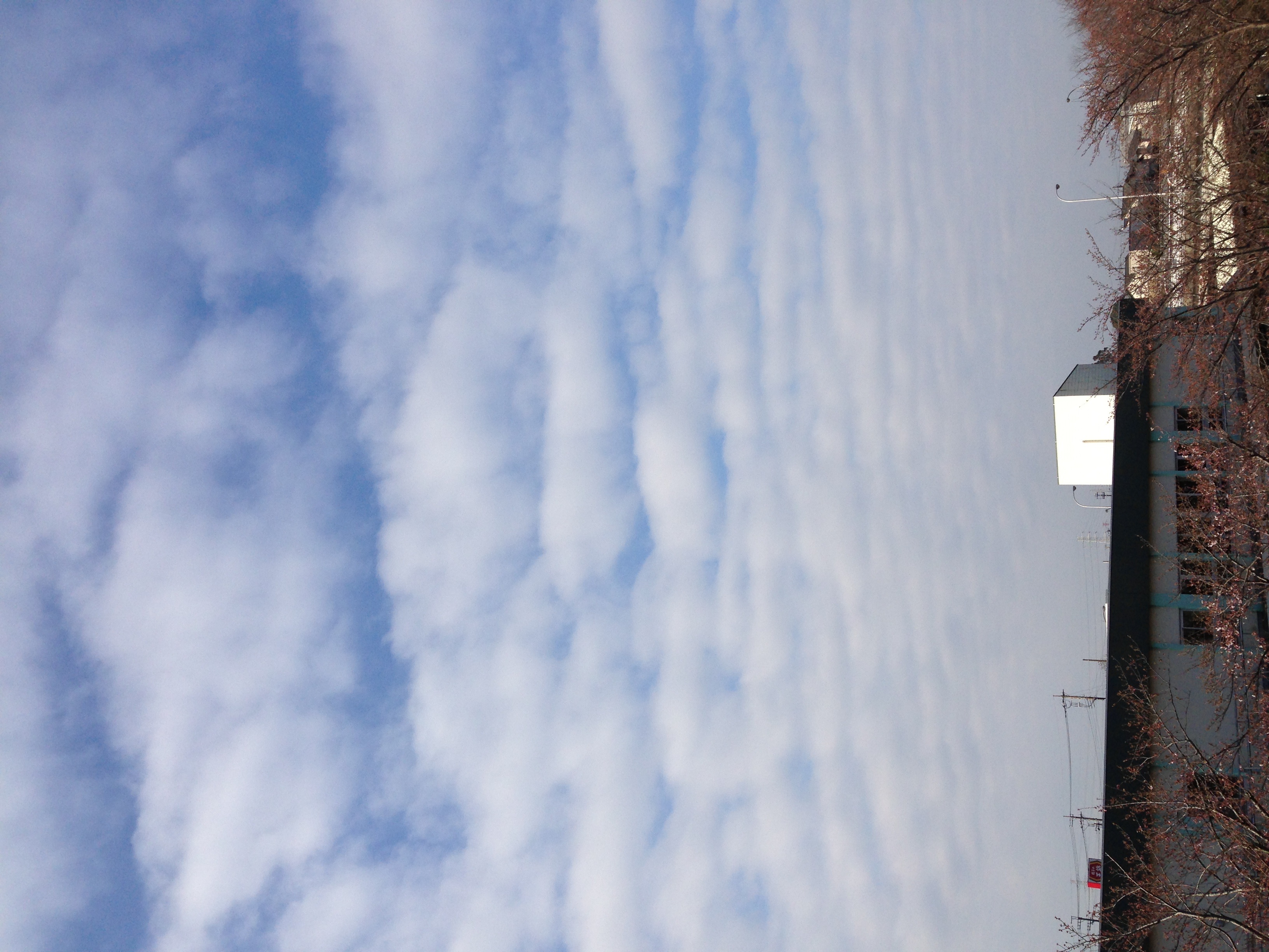 No.42118-1 地震雲