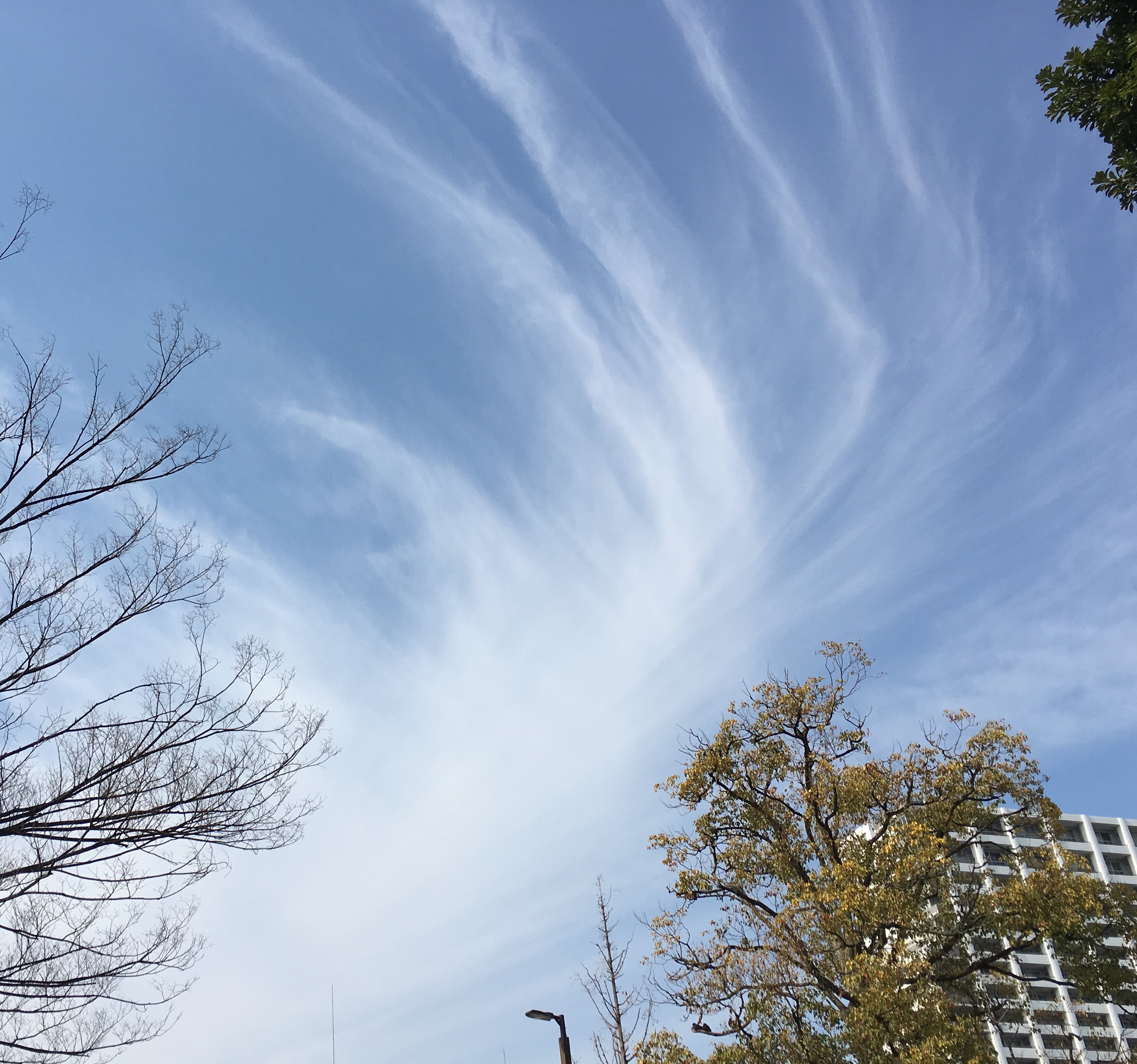 No.42225-1 地震雲