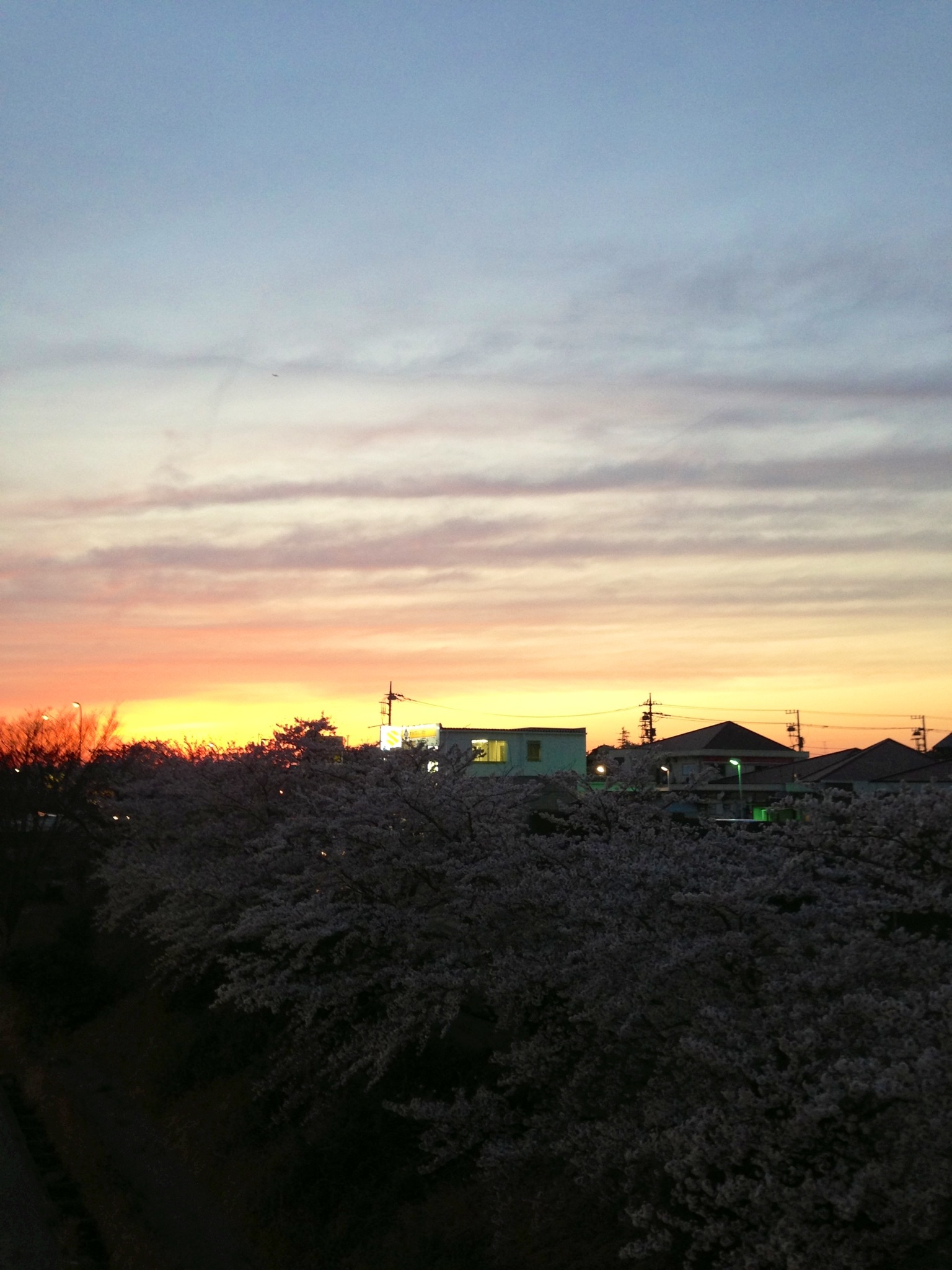 No.42365-1 地震雲